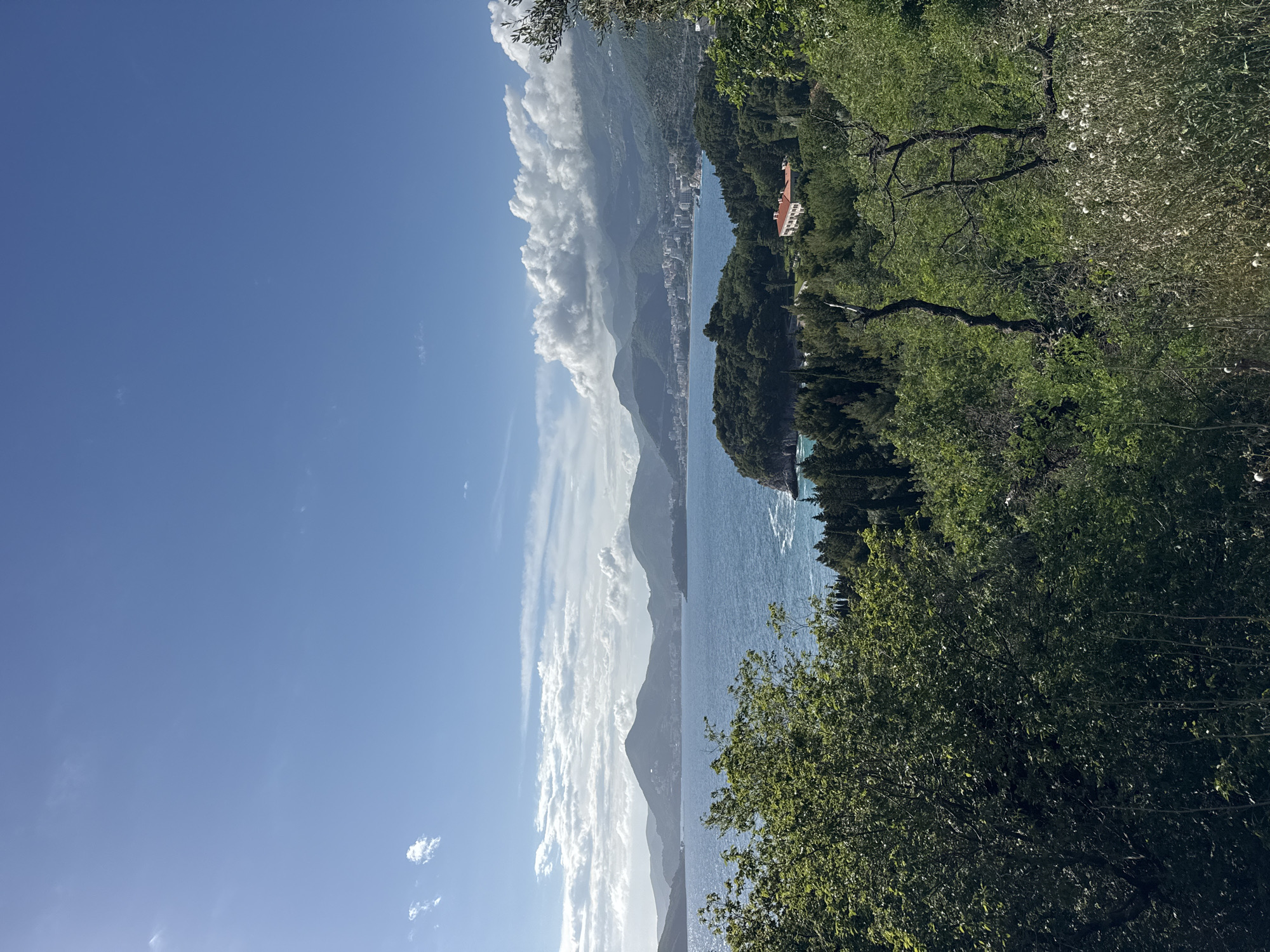 The image presents a view of the Sveti Stefan area in Montenegro, observed from a higher vantage point dominated by verdant foliage. The left side of the frame captures a clear, blue sky, partially occluded by thin, elongated clouds. In the middle, a mountainous coastline stretches along the Adriatic Sea, with a coastline dotted with buildings. The sea has a slight glare from the sun, emphasizing its texture. The right side of the image showcases lush, green vegetation and trees, and the presence of a building with a red roof peeks through this foliage, suggesting residential or commercial establishments. The orientation of the image is vertical, with the horizon line somewhat obscured by the terrain.