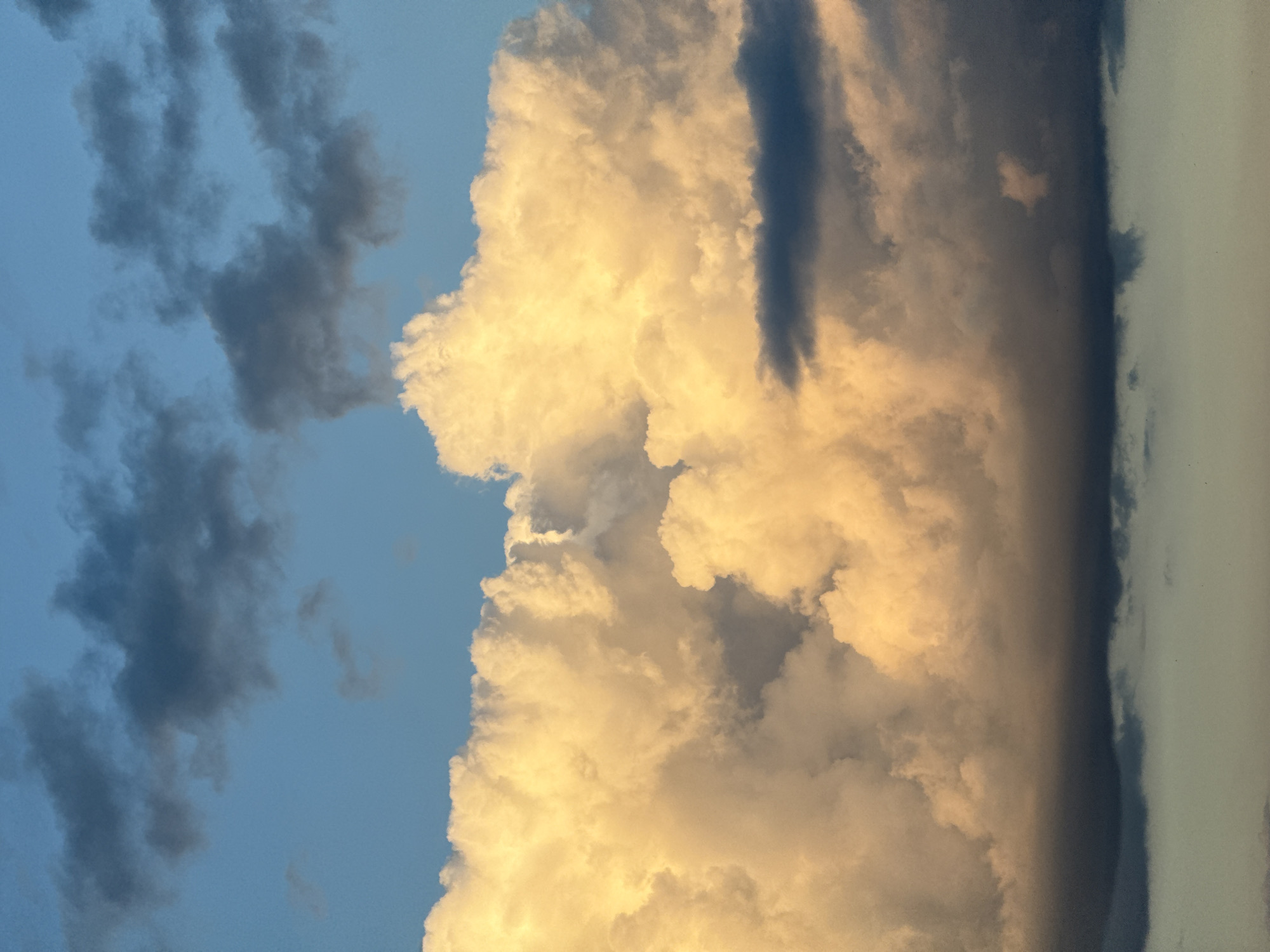 This is a vertical, close-up shot of a dramatic sky filled with clouds, likely taken in Zarechnaya (Gamovskoe S/P), Russia. The image captures a dynamic interplay of light and shadow across a vast expanse of cumulonimbus clouds.
The primary subjects are the clouds themselves, which dominate the frame. On the left side, the sky is a clear, soft blue, with wisps of dark gray clouds scattered across it. These clouds appear textured and somewhat turbulent, suggesting movement and change in the atmosphere.
The central and right portions of the image are filled with a massive, towering cloud formation. This cloud is brilliantly illuminated by warm, golden light, likely from the setting or rising sun. The intense light highlights the billowing, three-dimensional structure of the cloud, creating bright highlights and deep, soft shadows within its folds. To the far right, a darker, more monolithic cloud formation runs vertically, obscuring the sky and creating a stark contrast with the illuminated cloud. This darker mass appears dense and possibly foreboding.
The time of day is strongly suggested to be either early morning or late evening due to the warm, low-angled lighting on the clouds. The weather appears to be varied, with clear skies, developing storm clouds, and possibly a more stable, overcast area to the far right. The overall mood conveyed is one of awe and the powerful forces of nature. There is no text visible in the image.