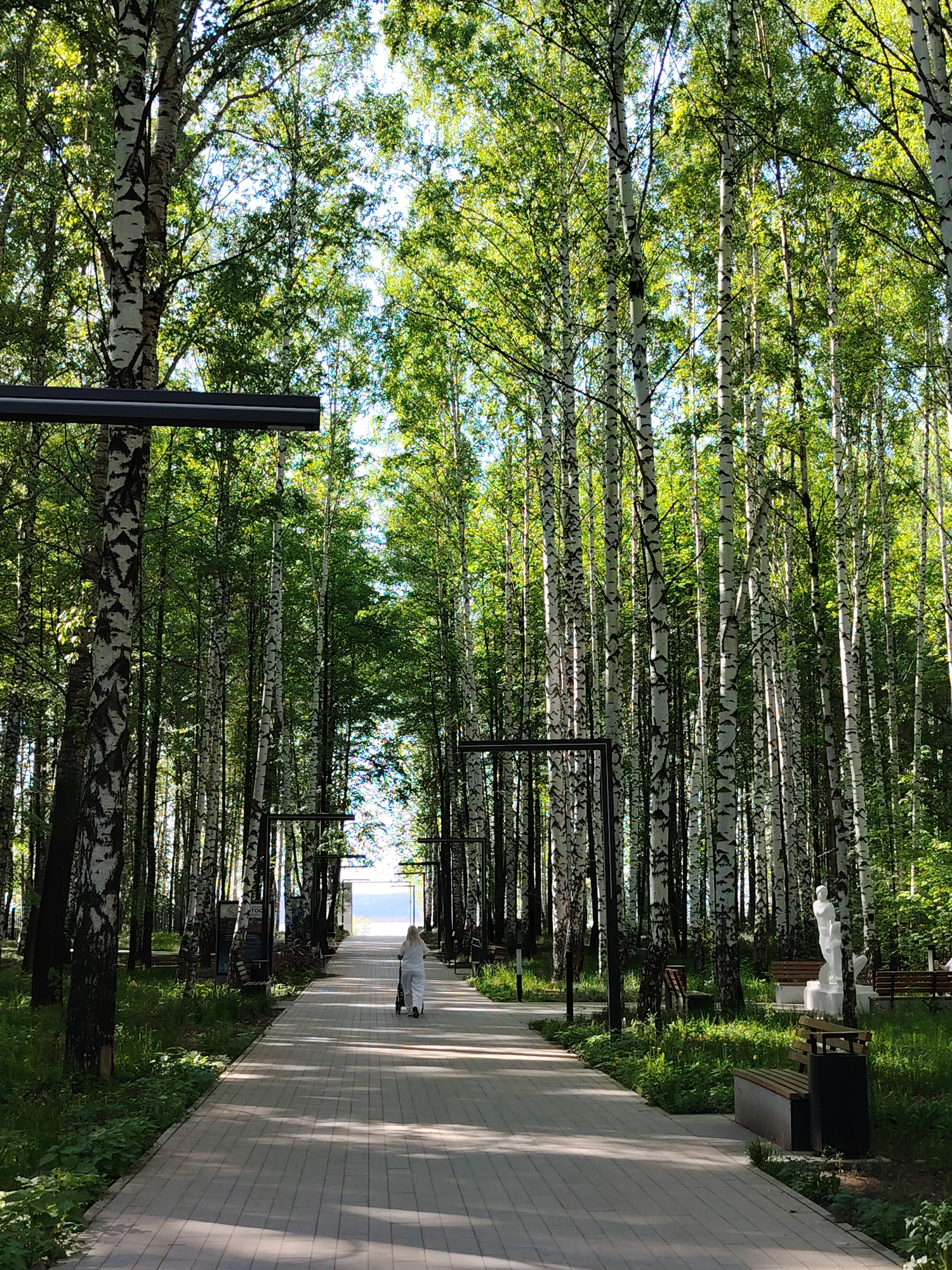A paved walkway stretches through a dense birch forest in Chaikovsky, Russia. Sunlight dapples the pathway, creating alternating patterns of light and shadow. A woman in a white dress is pushing a stroller down the walkway. The park has benches and a sculpture in the background. Overhead lighting fixtures, spaced periodically, are visible along the path. The forest canopy forms a green ceiling, and the white bark of the birch trees contrasts sharply with the greenery.