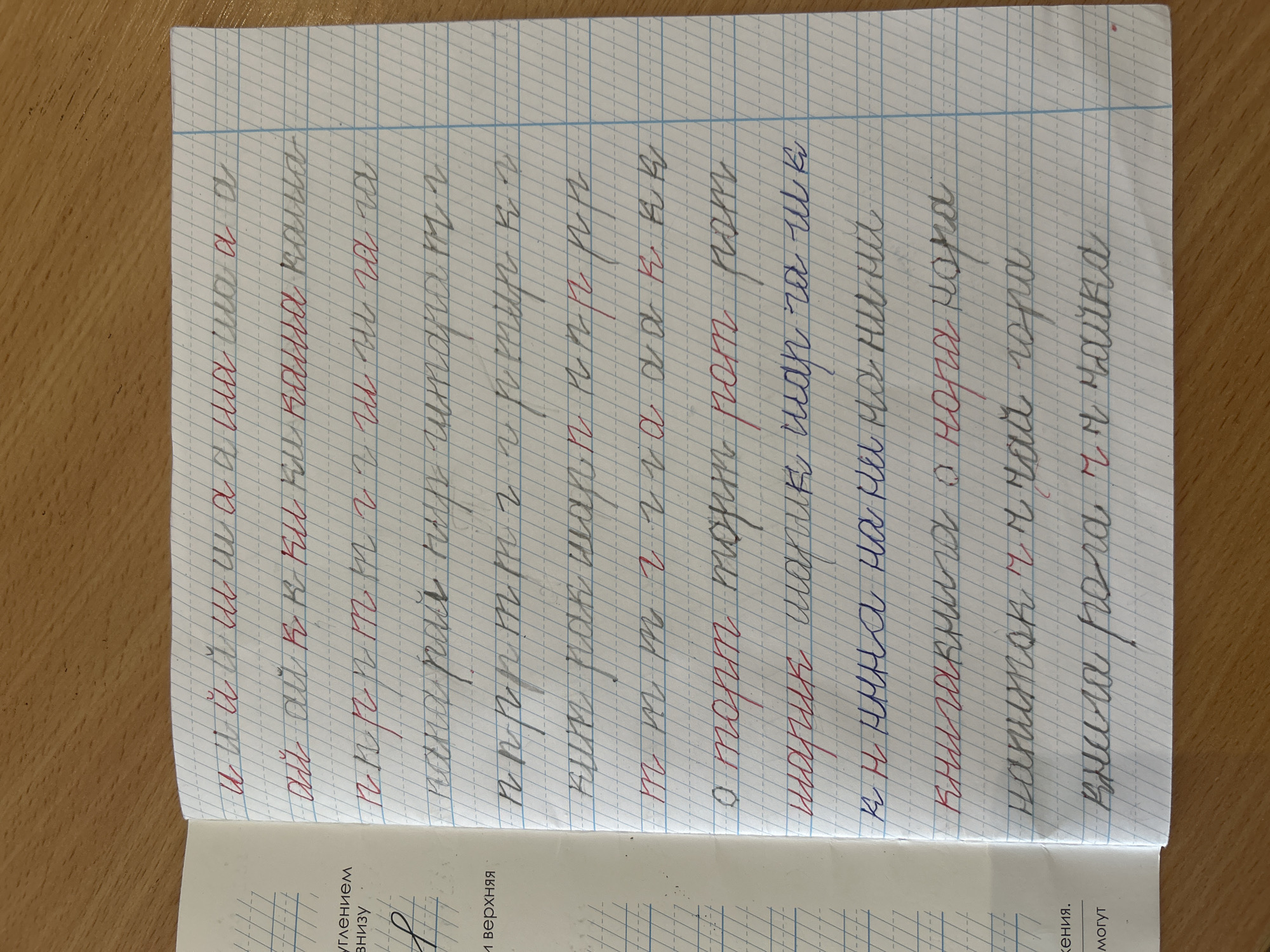 The image shows a page from a notebook with handwriting in Cyrillic script. The writing consists of individual letters, syllables, and short words. The letters are "и," "й," "ш," "а," "к," "г," "ч," "р," "т." The words include "шаша," "каша," "пир," "торг," "шарик," "книга," "гора," "чайка," and "рога." The handwriting uses both blue and red ink. The notebook paper has a grid pattern. The surrounding context suggests that the notebook is open on a table.