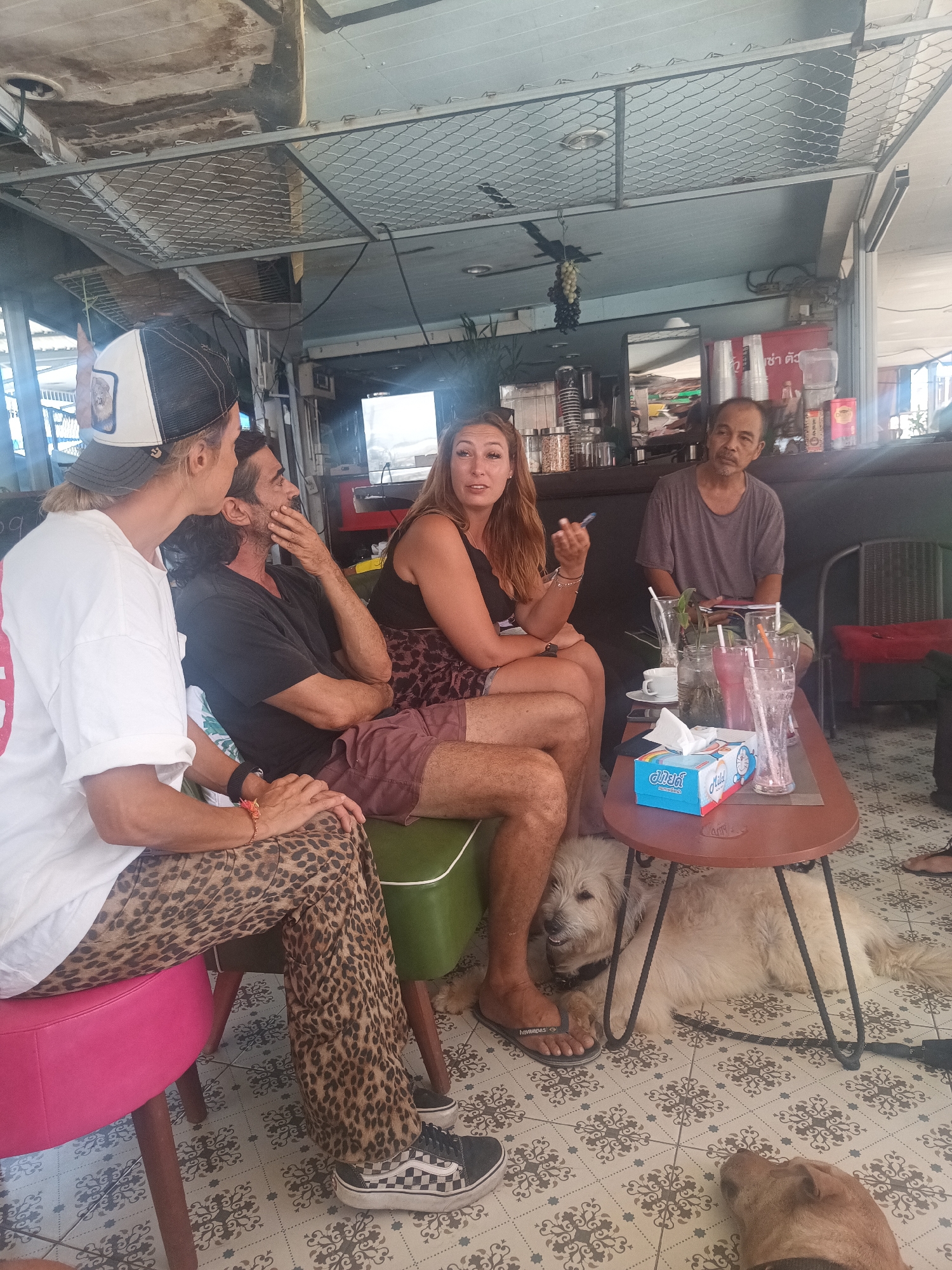 The image depicts an indoor scene in ตำบลเกาะพะงัน, Thailand, showing a group of four people and two dogs seated around a brown coffee table on a patterned tile floor. The seating arrangement includes a green cushioned chair, a pink stool, and what appears to be a chair behind the table. On the table are several clear glasses with straws, a white coffee cup, and a blue tissue box. One woman is holding a pen or thin object in her right hand and gesturing. A man sits with his hand to his face, seemingly listening. Another man, wearing a white t-shirt and leopard-print pants, is seated to the left. An older man sits in the background behind the table. A large white dog is lying underneath the table, while another dog is visible at the bottom of the frame. The environment suggests a cafe-like setting with an open-air structure.