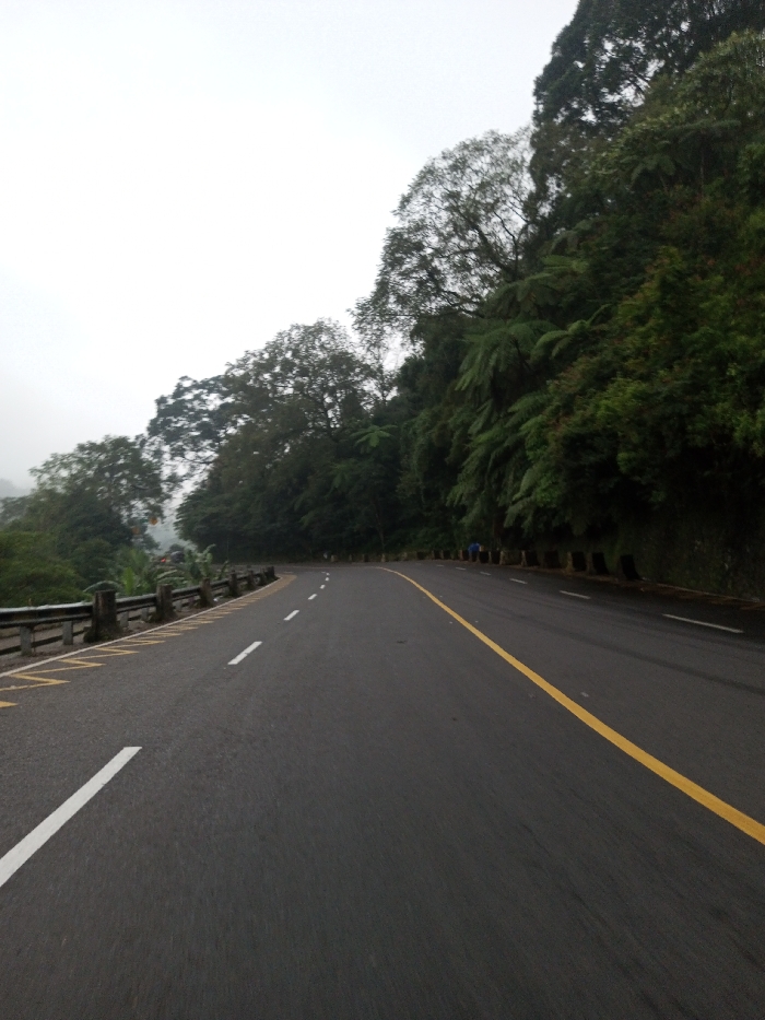 An outdoor scene depicts a two-lane asphalt road curving uphill to the right through a densely vegetated, hilly landscape under an overcast, misty sky. The road surface is dark grey, marked with a broken white centerline separating the two lanes. The left edge of the road features a solid white line, followed by yellow diagonal hash marks, and a metal guardrail supported by grey concrete posts. The right edge of the road is delineated by a solid yellow line. Dense green trees and large ferns cover the steep embankments on both sides of the road. The sky is uniformly white-grey, indicating heavy cloud cover or fog, which contributes to a hazy background obscuring distant features. Two indistinct human figures are visible walking on the right side of the road, further along the curve, moving away from the viewer. The scene is located in Neerveli, Sri Lanka.