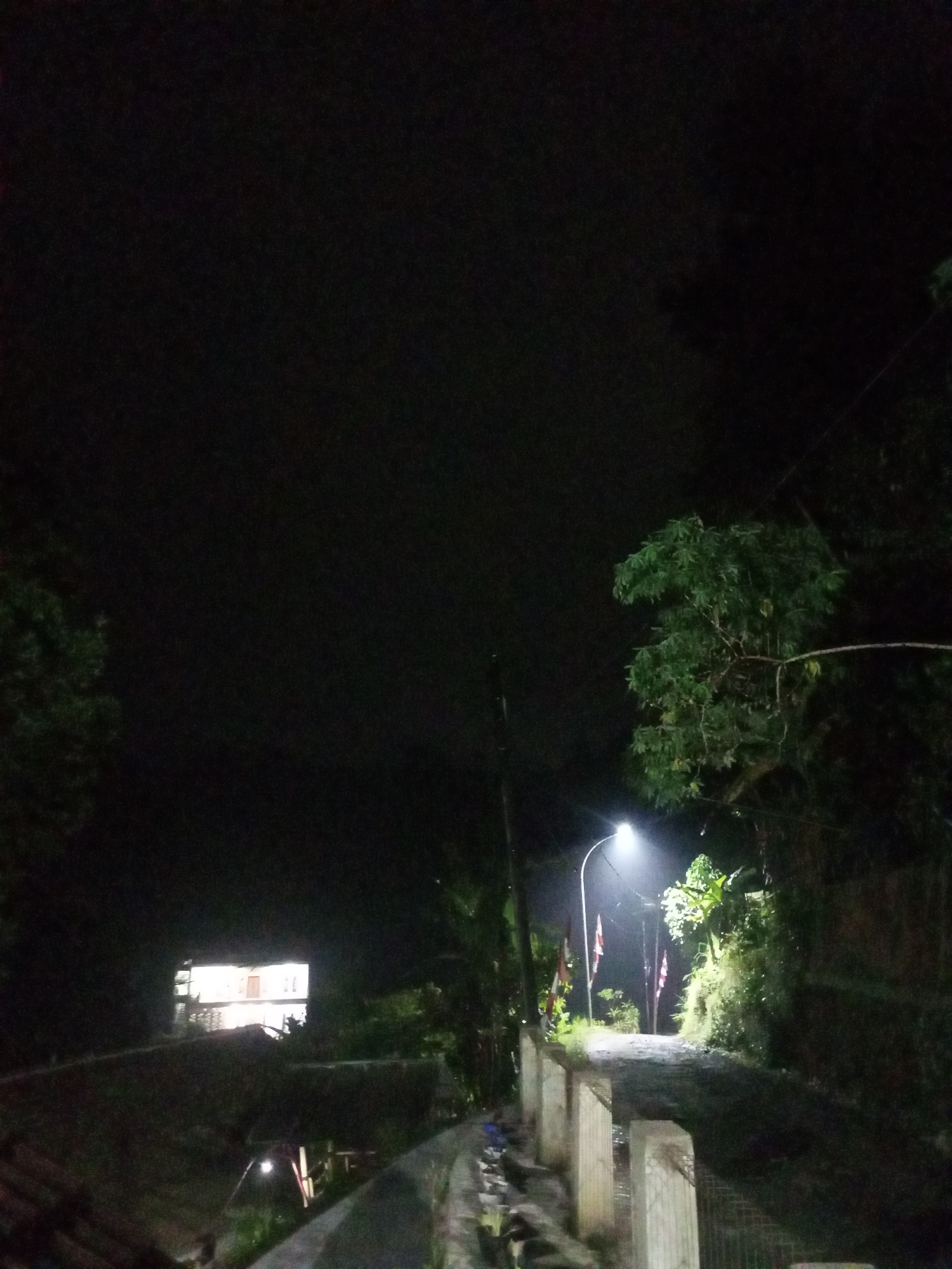 The image depicts a nighttime scene on a paved road in Cidahu, Indonesia. A street light illuminates the path, casting shadows. On the right side of the road, there is dense foliage and vegetation. Two flags, one with red and white colors, are visible on the left side of the road. In the background, a brightly lit building with multiple windows can be seen. The overall environment suggests a rural or suburban setting, with a dark sky and limited visibility beyond the illuminated areas.
