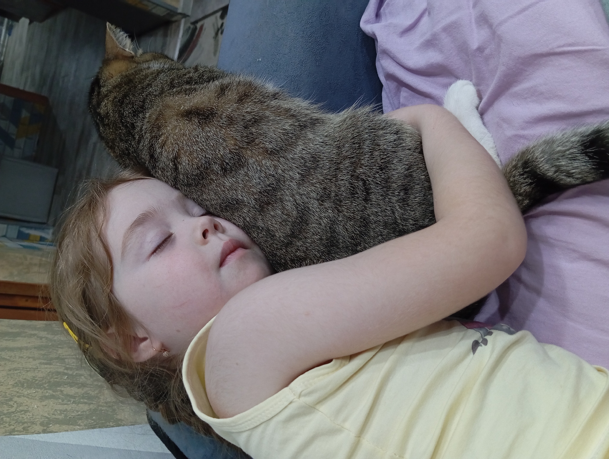 A young girl is lying down while asleep, with her arms wrapped around a tabby cat. The girl has fair skin, light brown hair, and is wearing a yellow shirt. She has small gold earrings. Her eyes are closed and her face is relaxed. The cat is positioned to the girl's left. The cat has a tabby coat and a long tail, one paw is white. They appear to be lying on a light purple fabric. The location is Yurgamysh, Russia.
