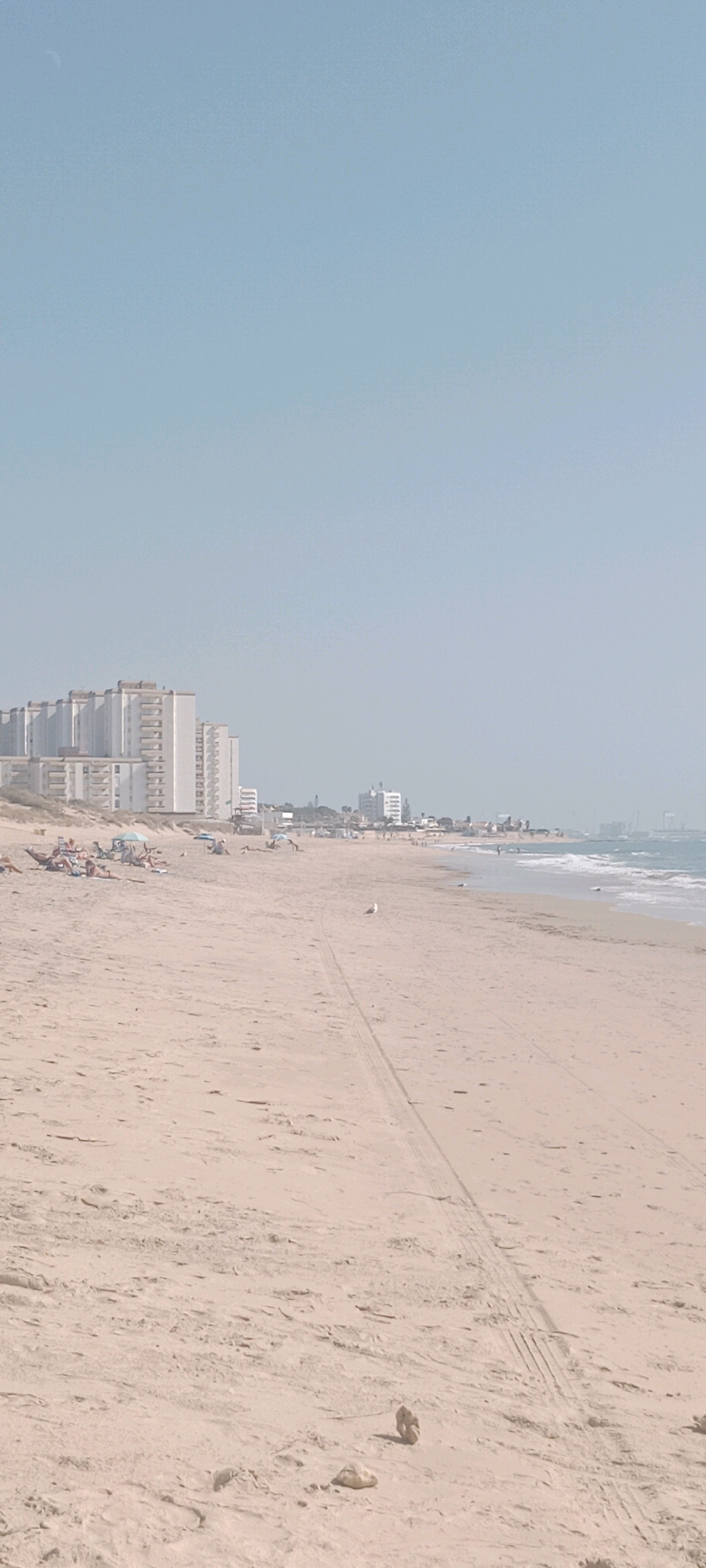 The image depicts a wide, sandy beach in Costa Oeste, Spain, under a clear, pale blue sky. In the distance, a row of large, multi-story buildings with balconies lines the coastline. The beach itself is mostly empty, with a few scattered beachgoers lounging on towels and under umbrellas. The sand shows tire tracks from a vehicle, and a few small stones are visible on the ground. A seagull stands on the sand in the mid-ground, looking towards the water. The ocean is calm with gentle waves breaking on the shore. The overall scene conveys a serene and quiet beach atmosphere.