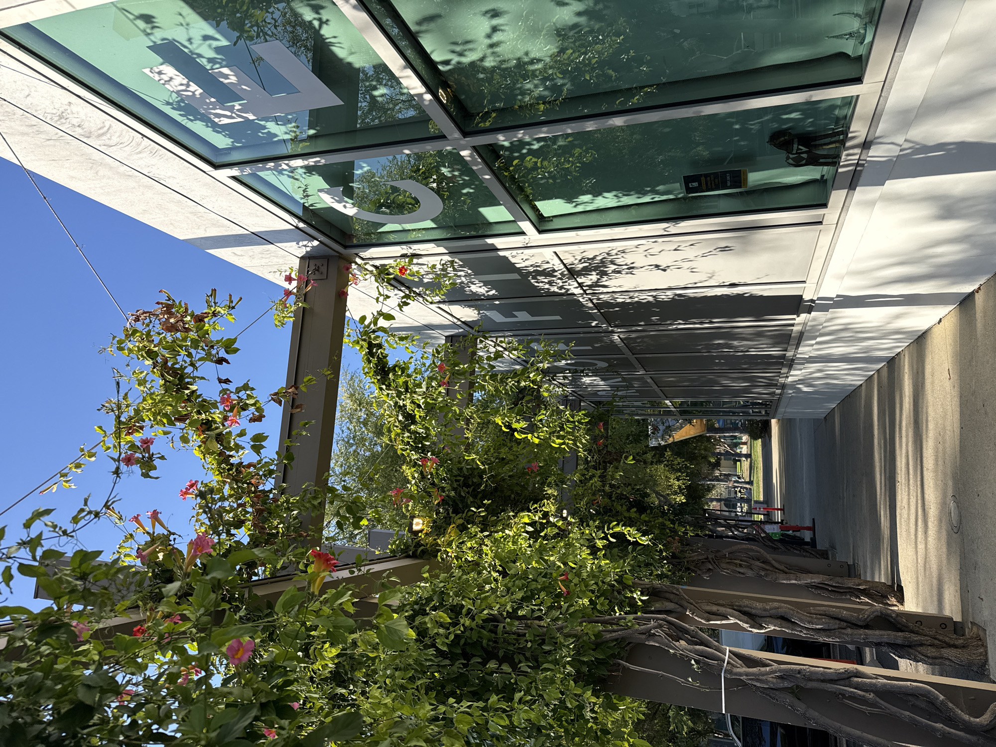 An exterior shot captures a modern building with large, green-tinted windows and white text, possibly advertising or a logo, against a concrete facade. A trellis covered in lush green vines with pink and yellow flowers extends along the left side of the building, casting dappled shadows on the sidewalk. The sidewalk itself is paved with concrete, and a street with trees and a few parked cars is visible in the background. The sky is a clear, bright blue. The building appears to be located in West Hollywood, California, USA, with its contemporary architecture and landscaping suggesting a commercial or public space within the city.