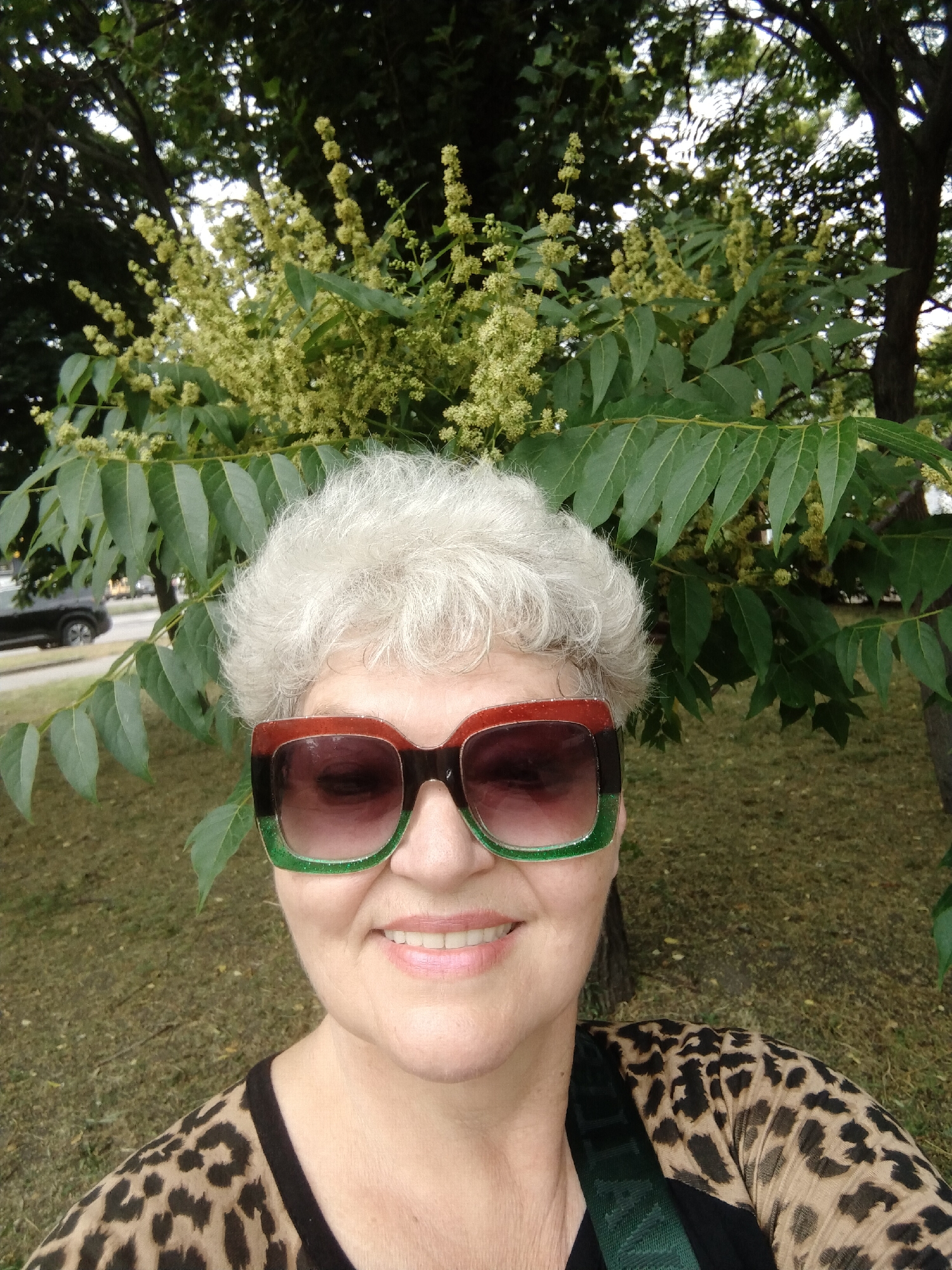 The image shows a selfie of a woman with white, curly hair and light skin. She is wearing large, square sunglasses with a red and green frame and a leopard-print top. She is smiling. The background consists of green leaves and small yellow flowers from a tree, with a grassy area and a road with a parked car visible behind her. This appears to be an outdoor setting, possibly a park or street in Horishni Plavni, Ukraine.