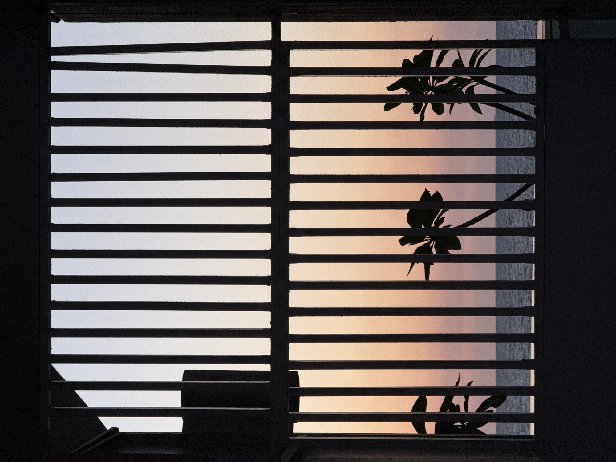 The image depicts a view through a slatted window or screen. The foreground is dominated by the dark, horizontal slats of the screen, creating a striped effect. Through these slats, a twilight sky is visible, transitioning from a pale white or light grey on the left to warm hues of pink and orange on the right.
In the right half of the image, silhouetted against the colored sky, are branches and leaves of a plant, likely tropical, with several distinct leaves visible. Below these, closer to the bottom of the frame, more foliage and a delicate branch are also silhouetted. The slats divide these natural elements, creating a layered and abstract composition.
Further in the background, beyond the plant and the colored sky, a textured expanse of dark blue or grey can be seen, suggesting a body of water, possibly the sea. The overall impression is one of a tranquil evening in a coastal location. The light suggests the time is around sunset or twilight. No people or text are visible in the image. The setting appears to be an outdoor or semi-outdoor space, possibly a balcony or a room with a view to the outside.