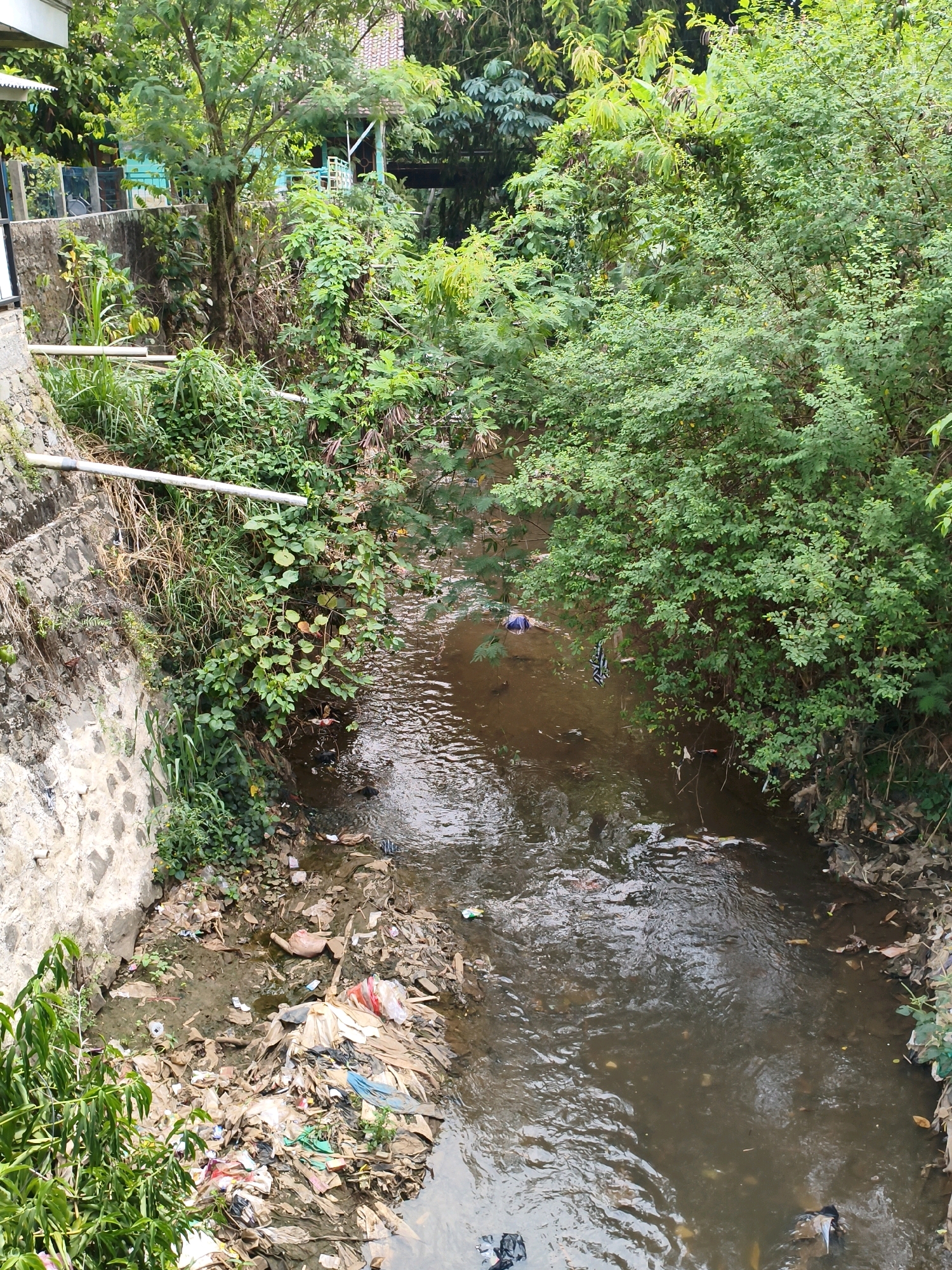 A narrow, murky brown river flows through a densely vegetated area, likely in Cibinong, Indonesia. The riverbanks are lined with lush green foliage, and in the distance, a building with a red tiled roof is visible. The scene is marred by a significant amount of trash accumulated on the riverbed and floating in the water, including plastic bags, wrappers, and other debris. A small section of a stone wall with a pipe running along it is visible on the left bank. No people are clearly visible in the image.