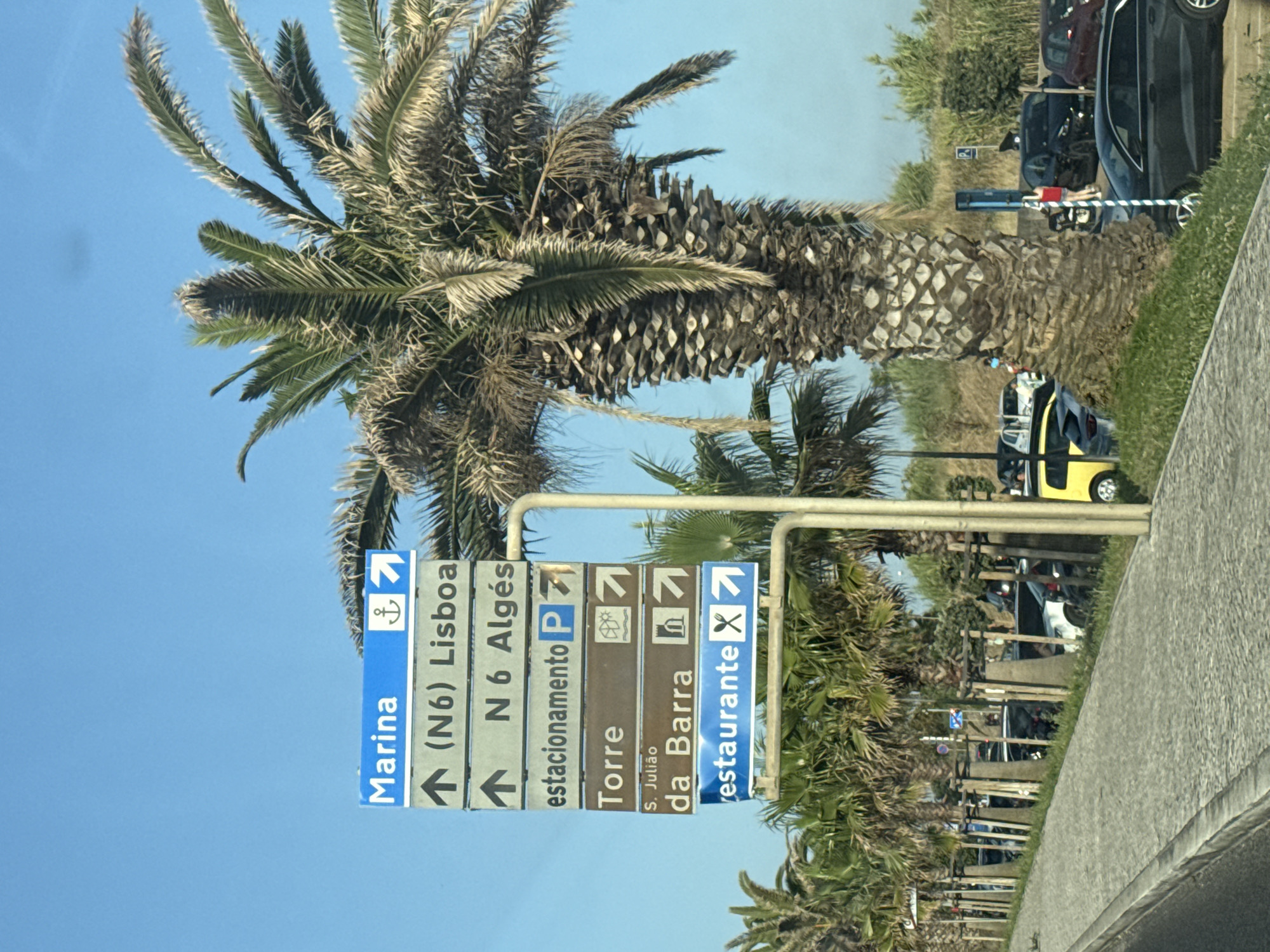 The image captures a street scene in Cascais, Portugal, with a prominent directional signpost on the right side of the frame, partially obscured by a large palm tree. The signpost features multiple rectangular signs indicating directions to "Marina" with an anchor and arrow icon, "(N6) Lisboa" and "N 6 Algés" with upward-pointing arrows, "estacionamento P" with a parking symbol and arrow, "Torre" with a building and arrow icon, "S. Julião da Barra" with a fort and arrow icon, and "restaurante" with a knife and fork symbol and arrow. The sky is clear blue. In the background, a row of palm trees lines the side of a paved road, with several parked cars visible, including a yellow vehicle. A few individuals are present in the background, including a person in a red top standing near a motorcycle and another person walking. The ground is paved with cobblestones in the foreground, leading towards the street.