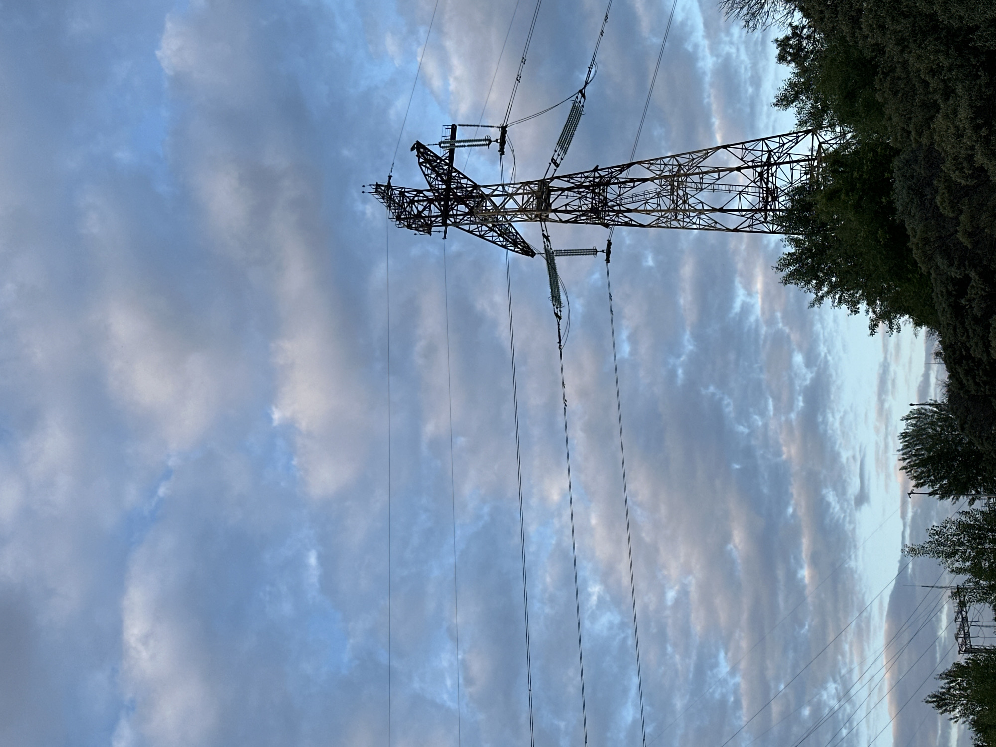An outdoor, low-angle, full shot shows a large, dark, metal electrical tower silhouetted against a cloudy, blue sky. The tower is tall and lattice-like, with wires extending horizontally from its top. Below the tower, a dense line of dark green trees forms a natural barrier against the sky. Several smaller electrical towers and wires are visible in the distance, to the left of the main tower. The lighting suggests it is either dawn or dusk, with soft light illuminating the clouds.
