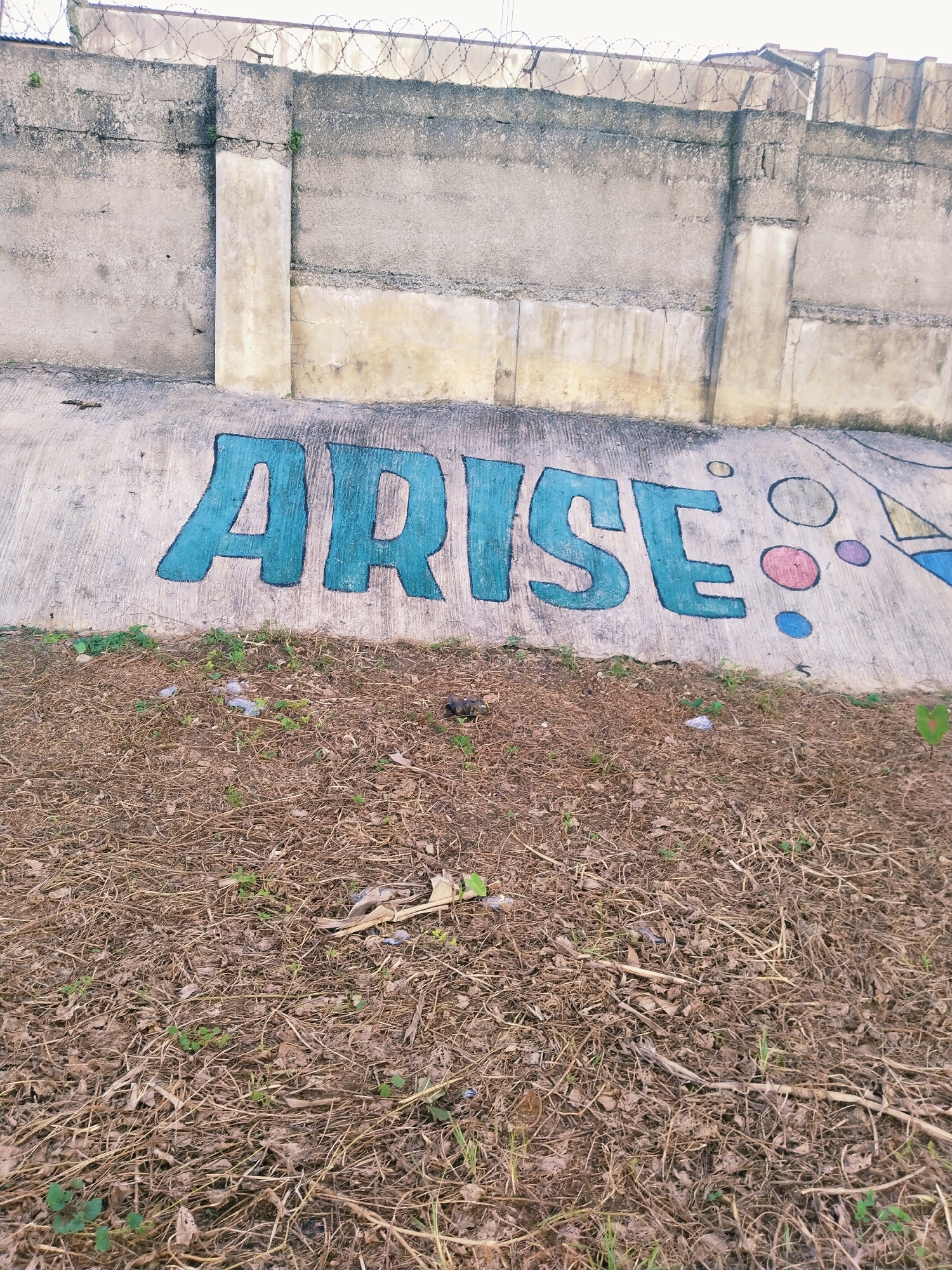 The image shows a concrete wall with graffiti that reads "ARISE". The wall appears to be part of an outdoor structure, possibly a drainage channel or retaining wall, situated beside a dry, grassy area. Barbed wire is visible along the top of the wall, suggesting a security fence. The graffiti is in large, teal-colored letters with black outlines. To the right of the word "ARISE", there are several colorful circles (pink, blue, purple) and a partial geometric shape in yellow and blue. The ground in front of the wall is covered in dry leaves, straw, and some sparse green vegetation. A few pieces of litter are scattered on the ground. The lighting suggests it is daytime, and the overall impression is of an urban or semi-urban environment. There are no people visible in the image. The location context provided is Uyo, Nigeria.