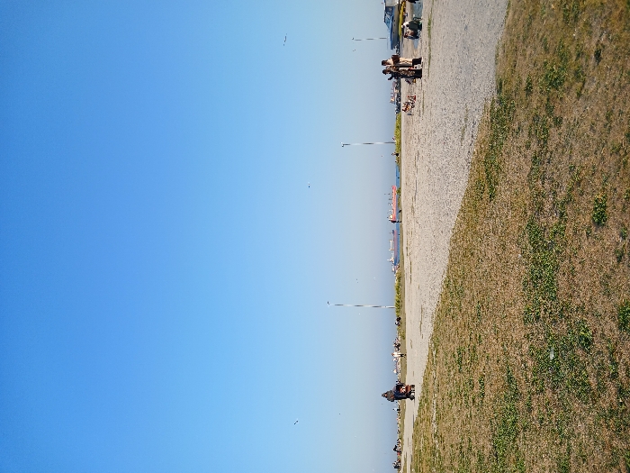 The image shows a wide-angle view of a sandy beach in İstanbul, Türkiye, taken from the shore, facing the sea. The location is near Florya Beach (40.957, 28.827). The image depicts a scene of scattered people walking on the beach and some people sitting on the sand. The sky is a clear blue with no clouds. The sand is a light beige color and sparsely covered with light green grass. In the distance, a few ships can be seen. Two vertical streetlights are in the distance. A few small birds are flying in the sky.