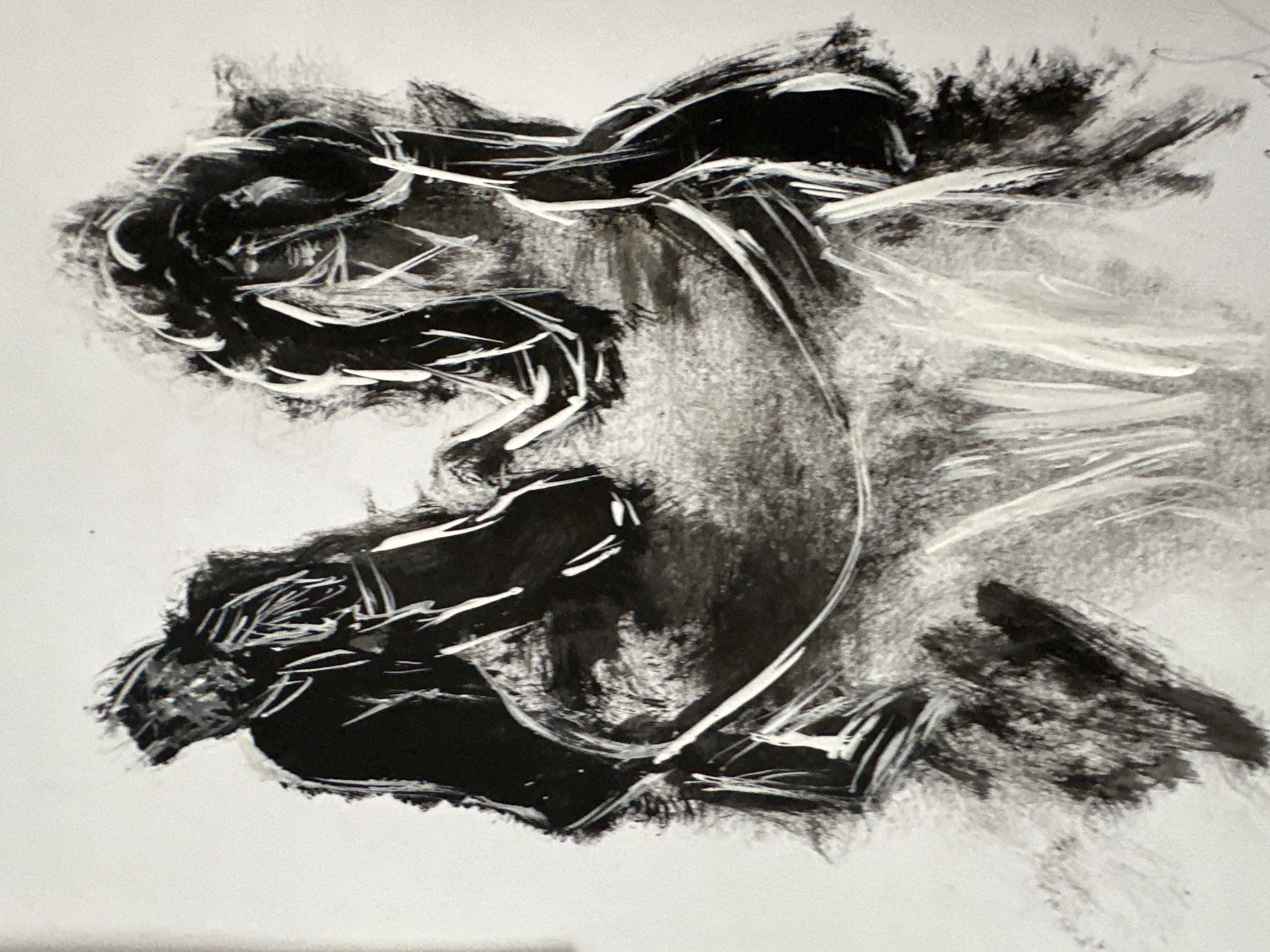 The image is a black and white ink drawing on paper, depicting a close-up of two figures with their heads bowed over what appears to be a circular object. The figures are rendered in a gestural, expressive style, with thick brushstrokes and sharp lines. The left figure is seen in profile, with dark, scribbled hair and a dark garment. The right figure is also seen in profile, with similar dark, textured hair and clothing. Their hands are not visible, but their posture suggests they are engaged in a shared activity or contemplation. The circular object between them is delineated by a dark, irregular line, with lighter strokes radiating outward, possibly suggesting a surface or texture. The background is largely white, with some smudged charcoal or ink marks that add to the overall abstract and emotive quality of the drawing. There are no discernible elements that would indicate a specific location in the city of Dagomys, Russia, or any other geographical setting.