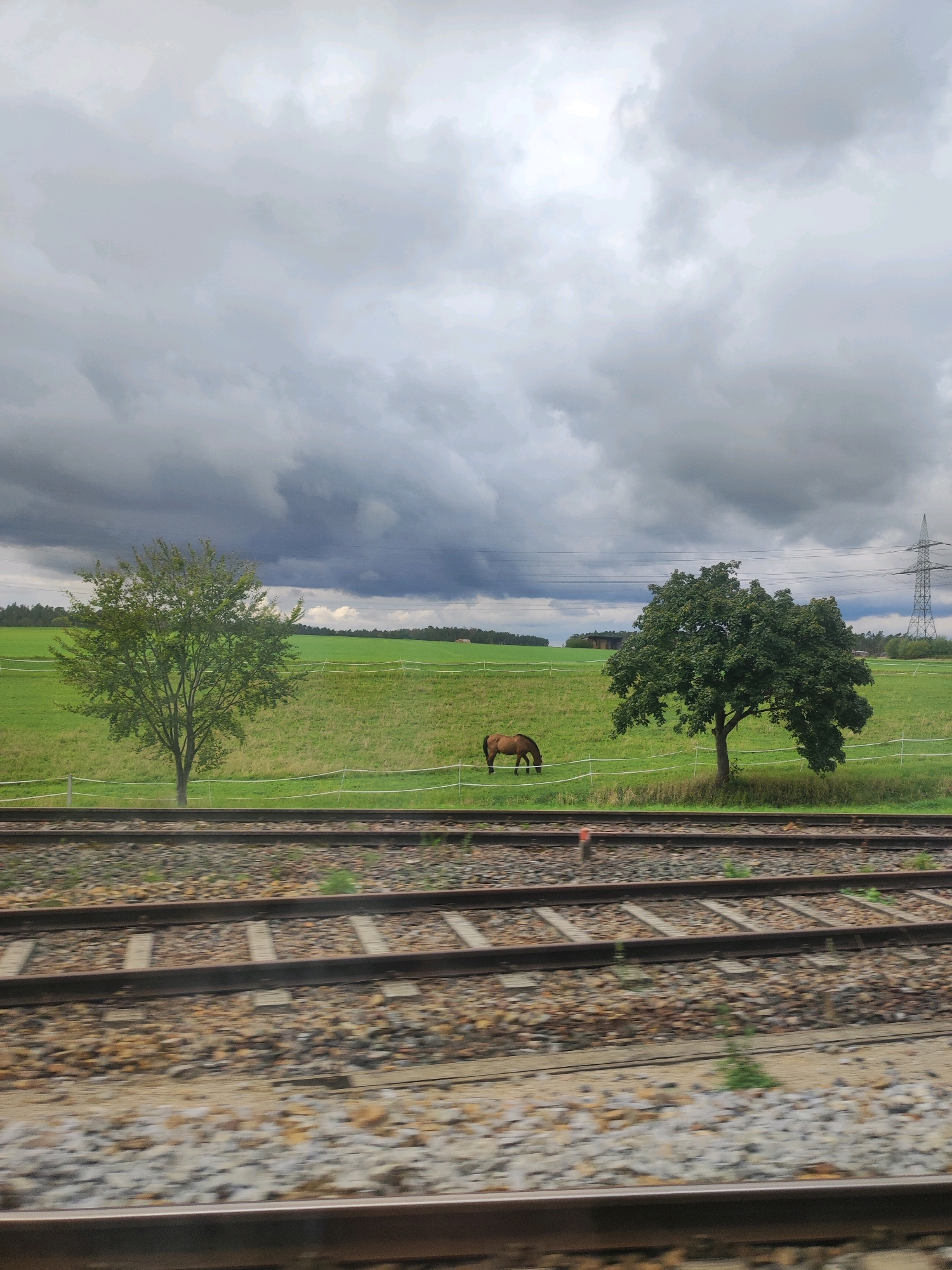 The image depicts a rural landscape near Roßtal, Germany, under a cloudy sky. In the foreground, parallel train tracks run horizontally across the frame, composed of gravel and wooden sleepers. Beyond the tracks, a vibrant green field stretches into the distance, bordered by a white fence. Two trees stand in the field; one on the left with a slender trunk and full green foliage, and another on the right with a more robust trunk and a denser, rounded canopy. A single brown horse grazes peacefully in the field between the two trees. In the far distance, a few scattered buildings, a power line pylon, and a line of trees are visible. The overall scene is tranquil and natural, with the train tracks providing a contrast between human infrastructure and the pastoral environment.