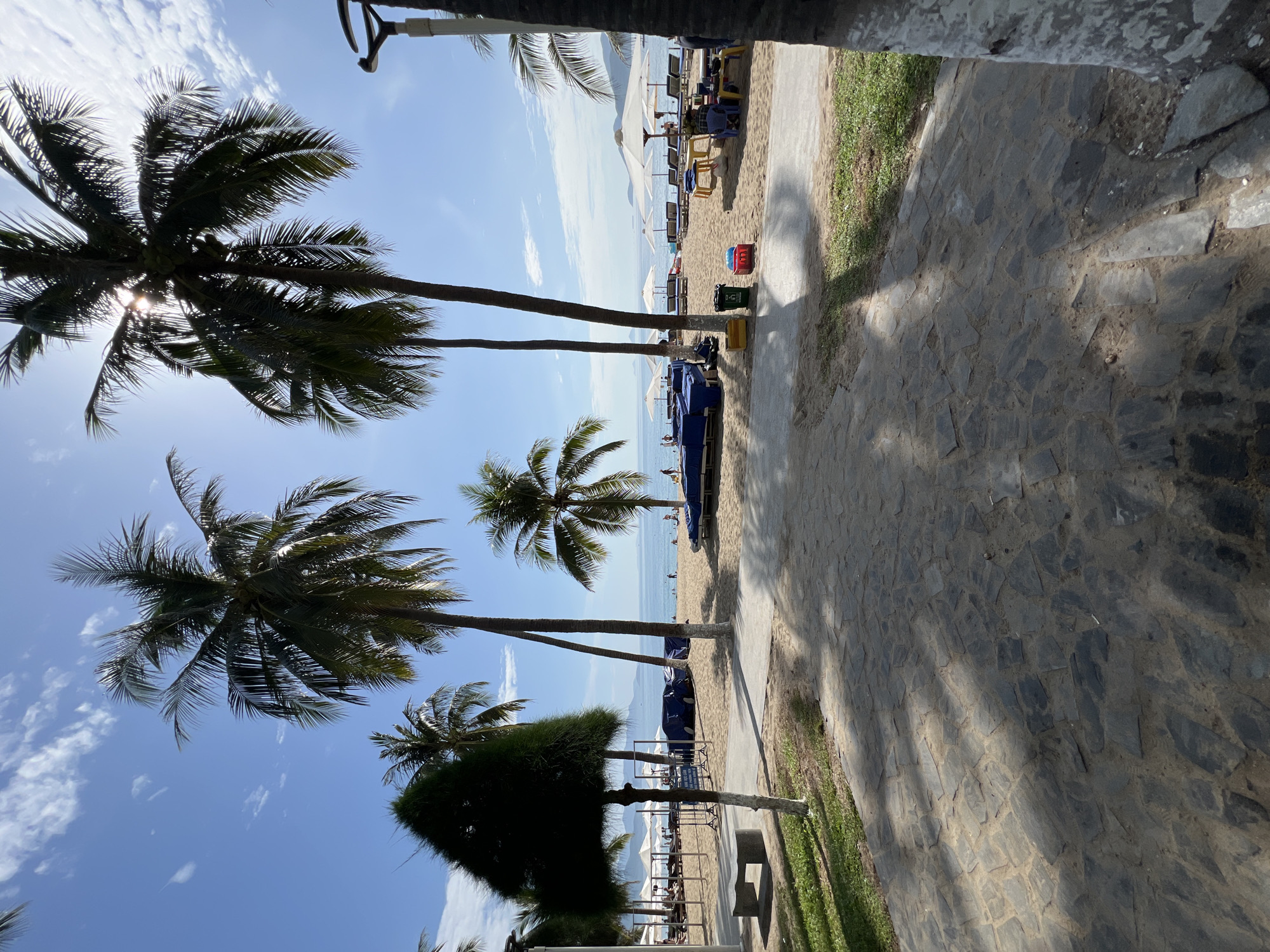 The image depicts a sunlit tropical beach scene, likely in Nha Trang, Vietnam, characterized by lush palm trees and a bright blue sky dotted with sparse white clouds. In the foreground, a paved walkway of irregular stone slabs leads towards a sandy beach. Shadows of palm fronds are cast across the walkway, indicating a sunny day. To the left, a small, dark green, pyramid-shaped topiary stands beside a light-colored stone bench.
The beach itself is lined with rows of lounge chairs and white umbrellas, suggesting a resort or public recreational area. Several covered structures, possibly boat or equipment storage, are also visible on the sand. In the distance, the calm ocean stretches towards the horizon, with a few faint landmasses visible. Several people are present on the beach and in the water, engaged in various activities like walking and swimming. Two trash bins, one yellow and one green, are placed near the beach access point. The overall atmosphere is one of leisure and relaxation in a coastal environment.