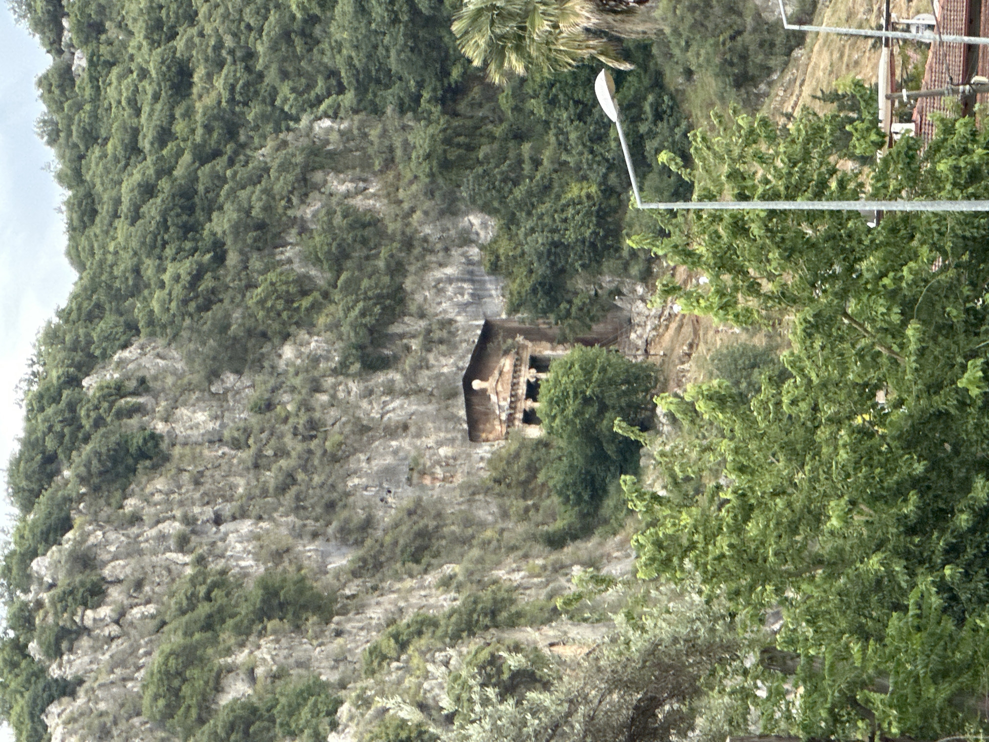 The image captures a landscape scene in Fethiye, Turkey, featuring ancient Lycian rock-cut tombs carved into a mountainside. The tombs, dark in color, are set within a rocky cliff face sparsely covered with vegetation. Below the tomb, the mountain descends, its slopes covered with a mix of low-lying shrubs and trees. A portion of the mountain is visible in the upper left of the frame, densely forested. A tall, slender lamppost stands prominently on the right, with a section of what appears to be a residential area, including rooftops, visible in the upper right corner. A mature tree with lush green foliage dominates the foreground on the right side. The photograph is taken during daylight hours, under overcast or slightly cloudy conditions, as evidenced by the soft, diffused lighting.