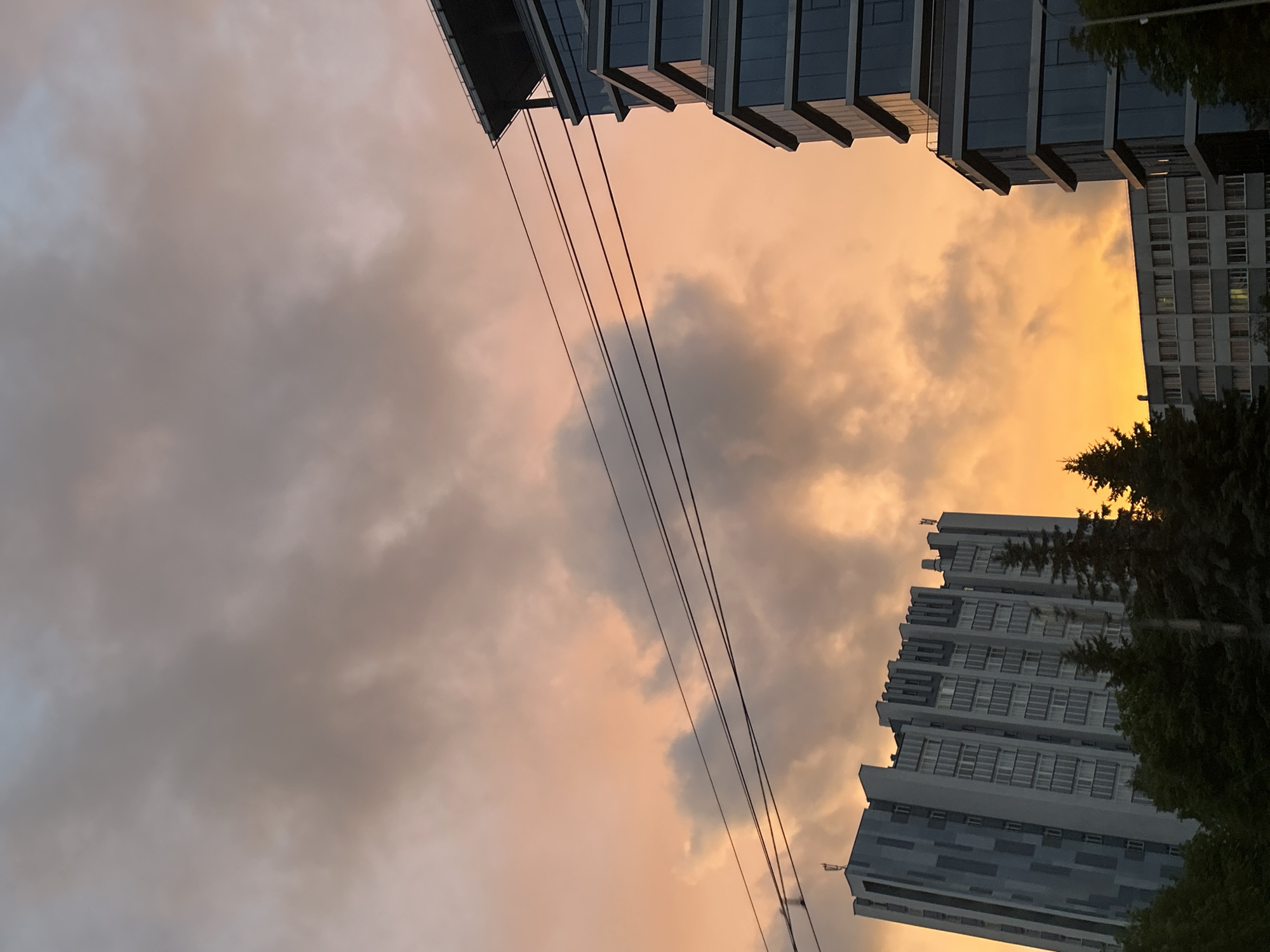 A vertical, eye-level, medium shot captures a dramatic sky tinged with sunset colors over a city. The sky is filled with a mix of dark grey and soft orange clouds. Three parallel black power lines stretch across the mid-section of the frame, silhouetted against the colorful sky.
On the left, a tall, multi-story residential building with a grey facade and patterned blue accents stands. Its windows are numerous and appear rectangular.
On the right, a modern, multi-story office building with a dark blue glass facade and white horizontal trim is visible. Its structure is angular, with each floor set back slightly from the one below, creating a tiered effect. The top of this building features a flat roof with visible railings.
Below the buildings, dark green trees and foliage form a dense, shadowy layer across the bottom of the frame. The overall scene suggests an urban setting at dusk, with the natural beauty of the sunset contrasting with the man-made structures. The image appears to be of the Minsk, Belarus, region.