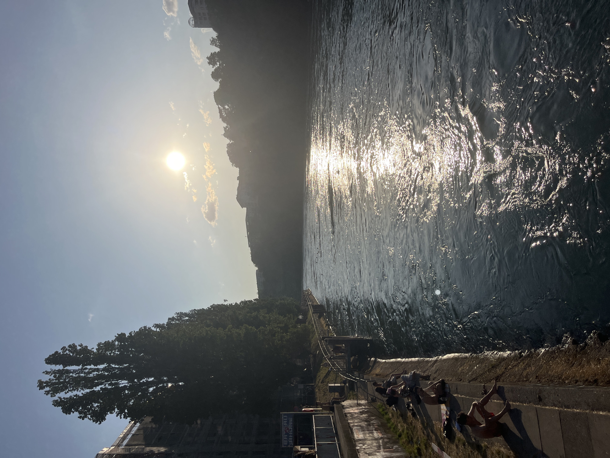 The image depicts a riverside scene in Geneva, Switzerland, likely during late afternoon or early evening, given the low angle of the sun. The Rhône River flows from right to left across the frame, its surface shimmering with sunlight. On the left bank, a concrete embankment is lined with a row of tall, slender trees that cast long shadows. Several people are seated on the embankment, some appearing to be relaxing or sunbathing, with towels and swimwear visible. One individual, a young male, is prominently featured in the foreground, sitting with his legs extended and facing the river. A metal railing runs along the embankment, separating it from a walkway. In the background, buildings and more trees are visible on the opposite bank of the river, silhouetted against the bright sky. The sun is partially obscured by the trees and haze, creating a luminous glow. A sign that reads "BATEAU RHONE" is partially visible on the left. The overall atmosphere suggests a leisurely summer day by the river.