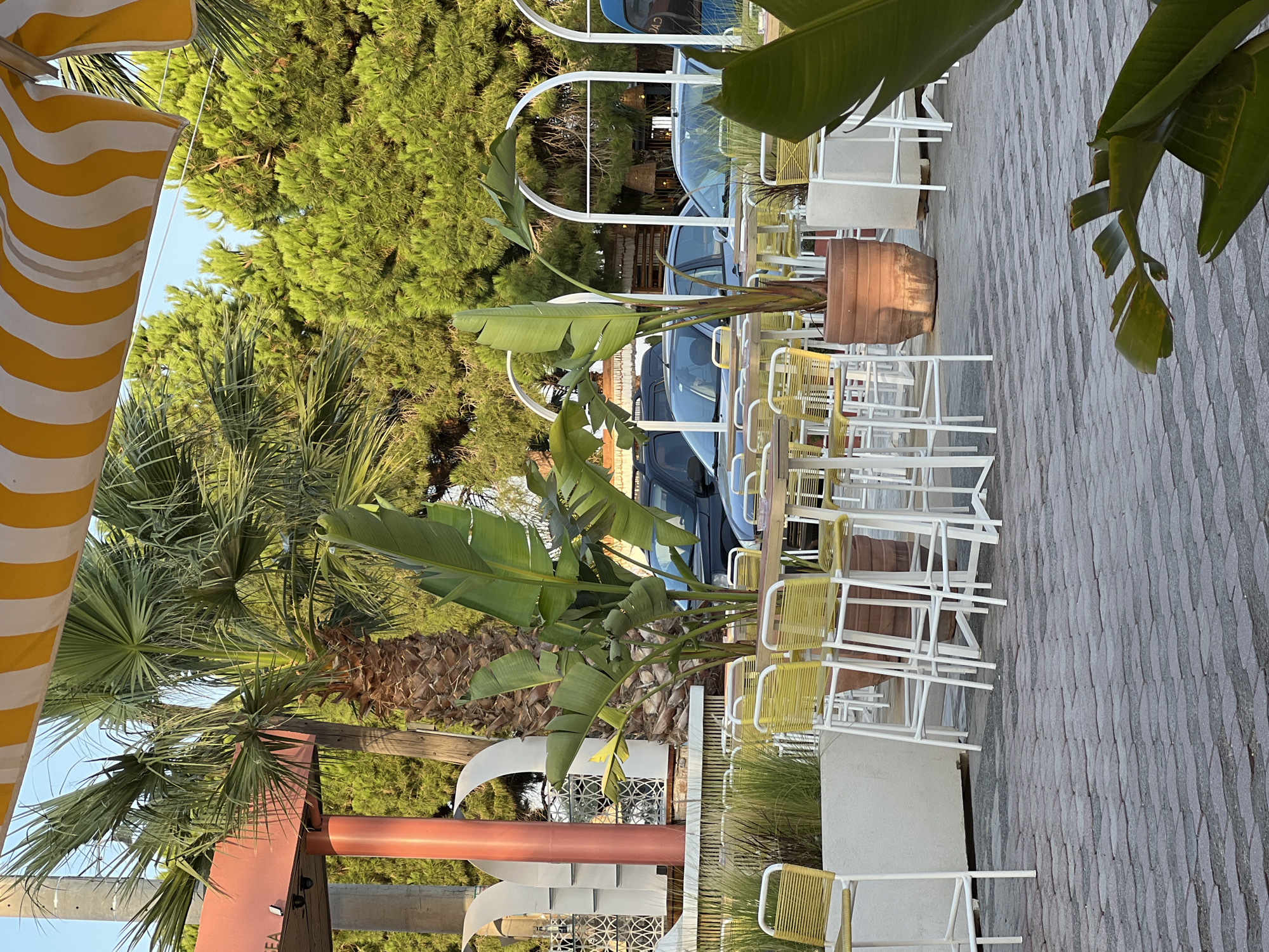 The image depicts an outdoor seating area of a restaurant or cafe, likely in Eretria Municipal Unit, Greece, judging by the architectural style and flora which are common in coastal Mediterranean regions. The scene is set during the day, under a clear sky, with sunlight casting shadows and highlighting the textures of the environment.
In the foreground, a light gray paved walkway, made of irregularly shaped interlocking stones, leads the eye towards the seating area. To the left, a large white planter box is filled with tall, wispy green grass. In front of this planter, a white bar stool with a yellow woven seat stands.
The central part of the image features several tall tables, each accompanied by white bar stools with yellow woven seats. These tables are arranged on the paved ground. Several large potted plants, including a prominent Bird of Paradise with its broad green leaves, add a tropical feel to the setting. One of these plants is in a large, terracotta-colored pot. In the background, parked cars are visible, suggesting the proximity to a road or parking area.
Behind the seating area, there is a building with a salmon-pink overhang supported by a pillar. Decorative white archways are spaced along the front of what appears to be another section of the establishment. Tall, mature palm trees and dense evergreen trees form a lush backdrop. A yellow and white striped awning is visible at the top of the image, extending over the outdoor space, providing shade. The overall ambiance is relaxed and inviting, typical of a seaside dining or leisure establishment. There are no people clearly visible in the image.