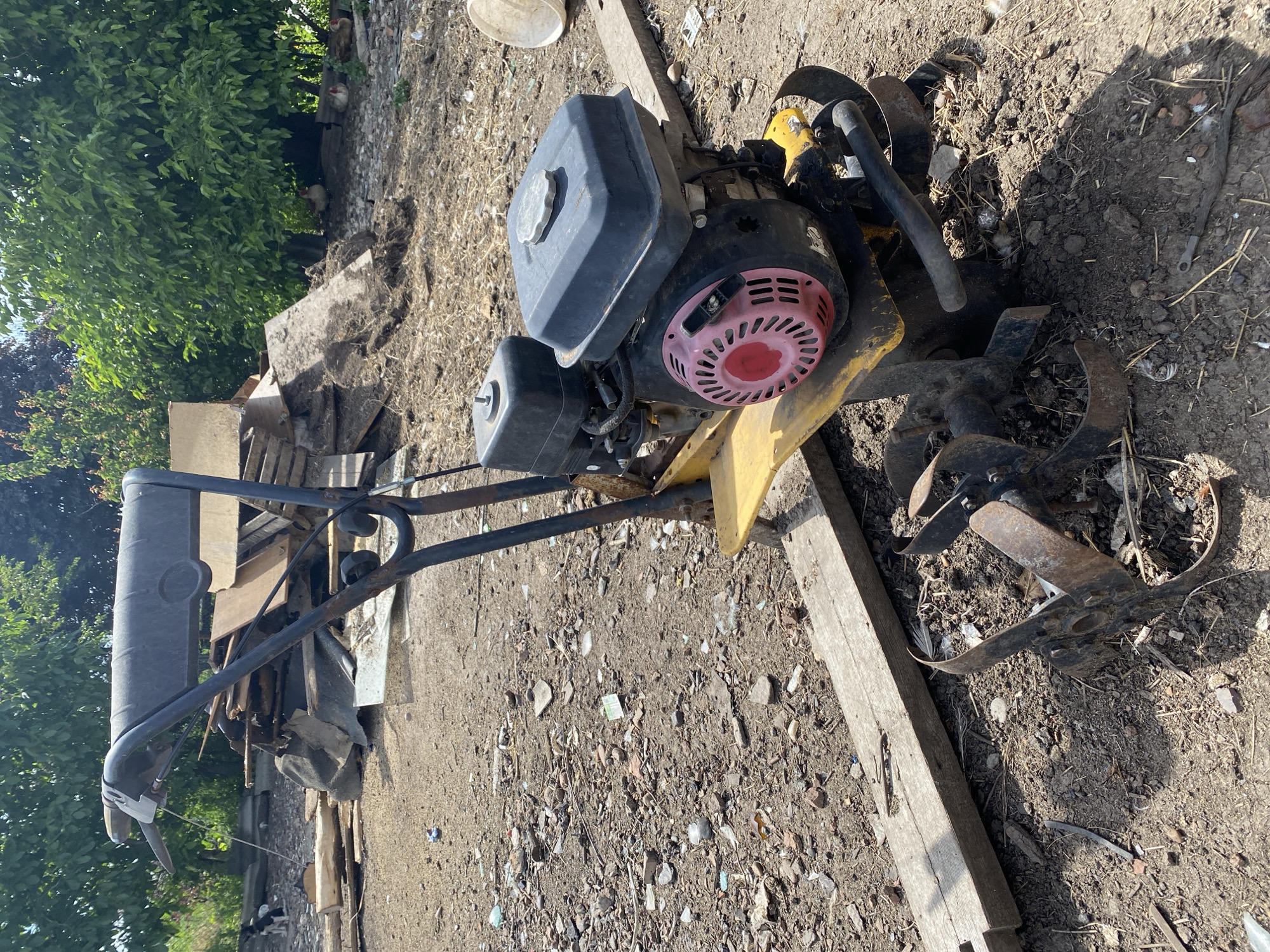 A weathered, yellow and black rototiller with a pink fan cover sits on a dirt ground. The rototiller has a black handle and a black engine with a black gas tank. In the background, there is a pile of wood scraps, green trees, and a small black and white dog. The ground is covered with dirt, small rocks, and debris. The scene appears to be an outdoor storage or work area, possibly in a rural or suburban setting. No people are visible in the frame.