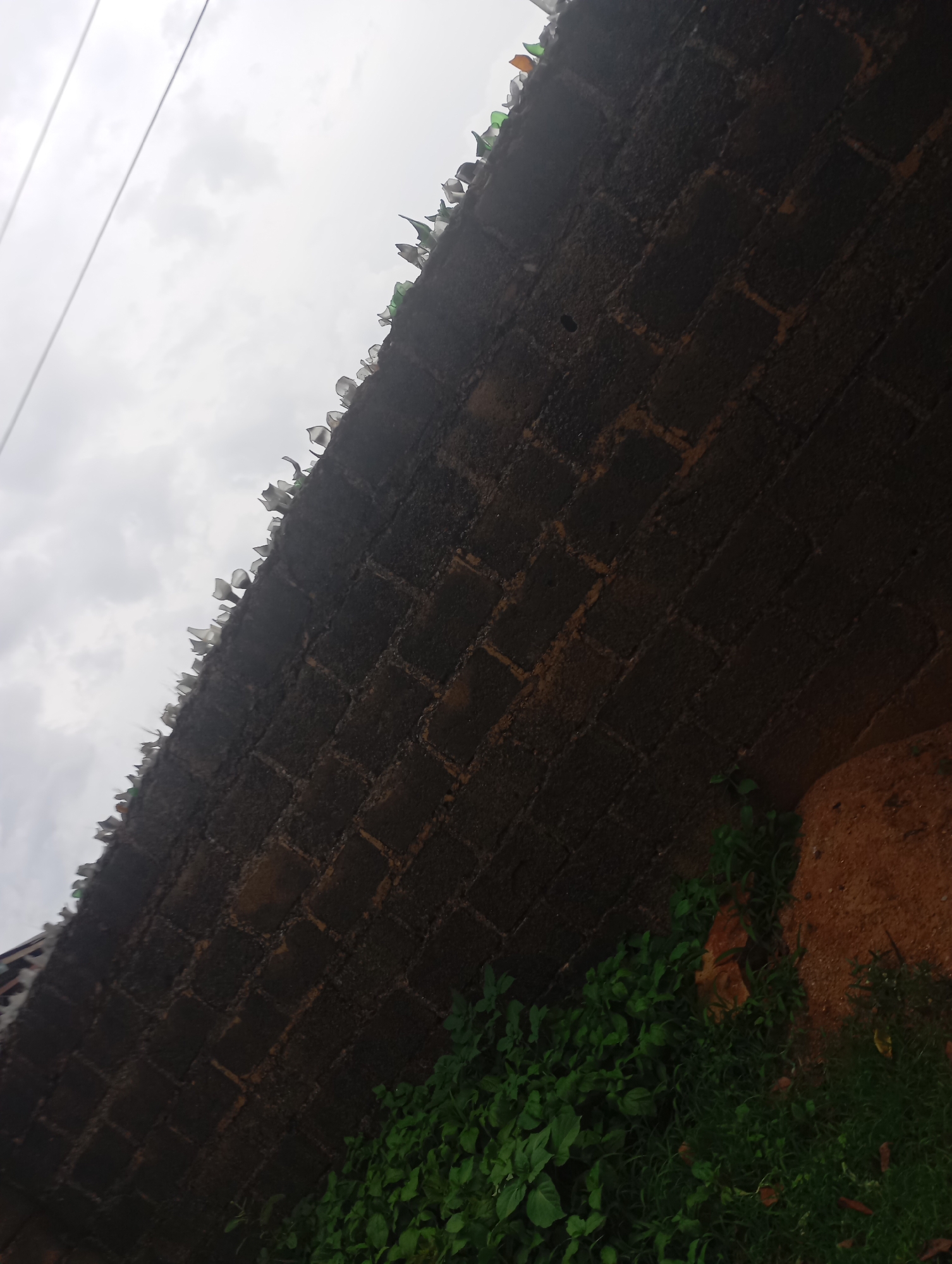 A brick wall, topped with broken glass bottles, runs diagonally across the frame. The wall is constructed of dark, rectangular bricks. The glass bottles, some clear and some green, are arranged with their broken edges facing upwards, creating a jagged, deterrent-like border. Below the wall, lush green vegetation thrives, with some patches of reddish-brown soil visible. The sky above is overcast and gray, with two thin, dark wires running horizontally across it. The scene appears to be an outdoor setting, likely in New Stadium, Nigeria, given the context. There are no people or discernible human activity in the image.