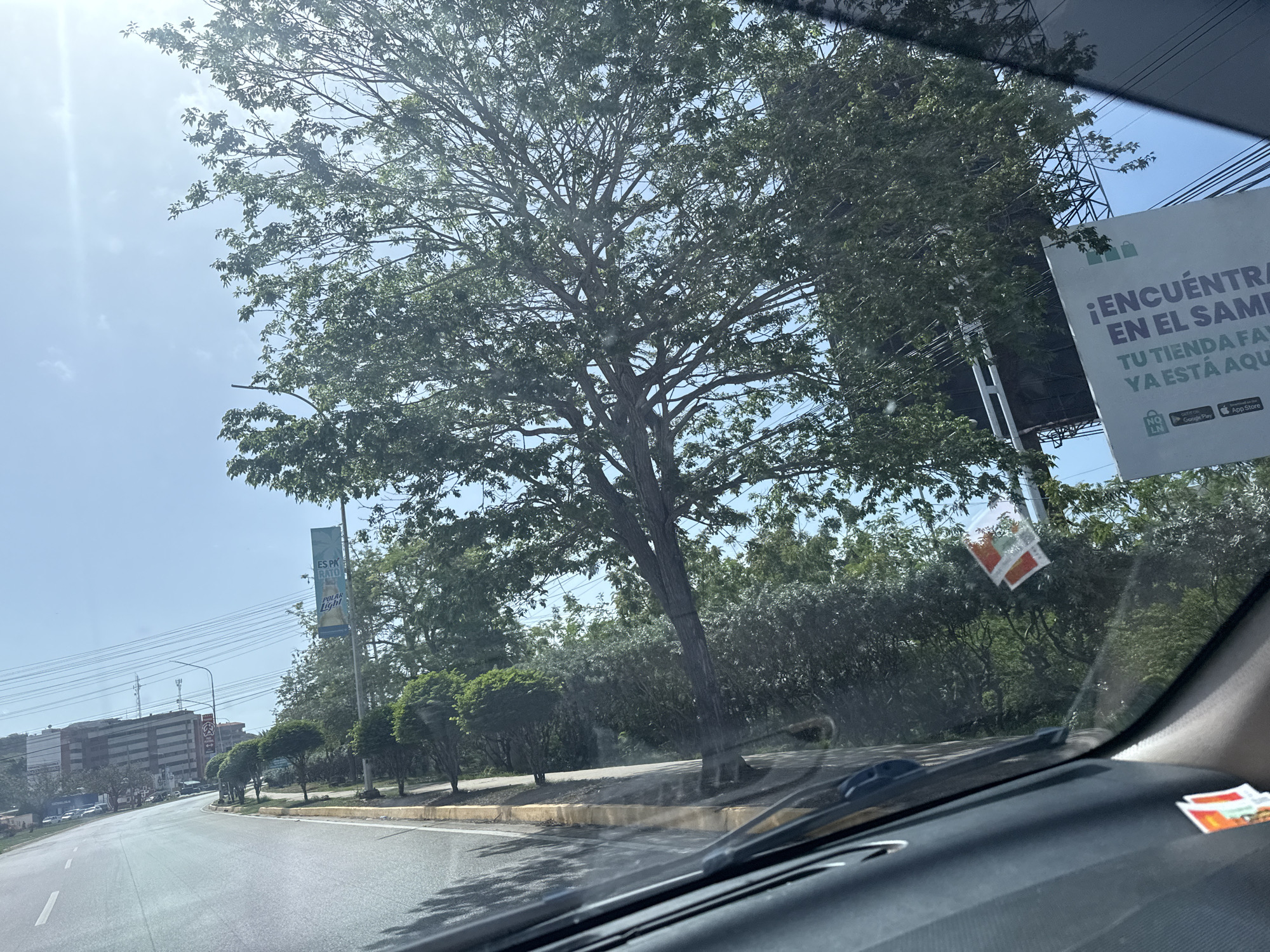 This media file captures a view from inside a vehicle, looking out through the windshield on a sunny day. The scene depicts a tree-lined street with a large tree dominating the center of the frame. Lush green foliage from trees and bushes lines the road. In the distance, buildings and communication towers are visible.
A prominent billboard on the right side of the frame advertises in Spanish, "¡ENCUENTRA EN EL SAME! TU TIENDA FAVORITA YA ESTÁ AQUÍ." Below this, it shows logos for Google Play and the App Store, suggesting a retail or service advertisement. A blue banner hangs from a pole on the left, displaying text that includes "ES PA RATO" and "POLAR LIGHT".
The lighting suggests it is daytime, likely late morning or early afternoon, given the strong sunlight and shadows. The sky is clear blue with some sunlight glare visible on the windshield. The overall setting appears to be a developed area with both natural elements and urban infrastructure, consistent with a road in Pampatar, Venezuela. There are no people clearly visible in the image, but the presence of a road and advertising implies a public space. Small stickers are affixed to the windshield.