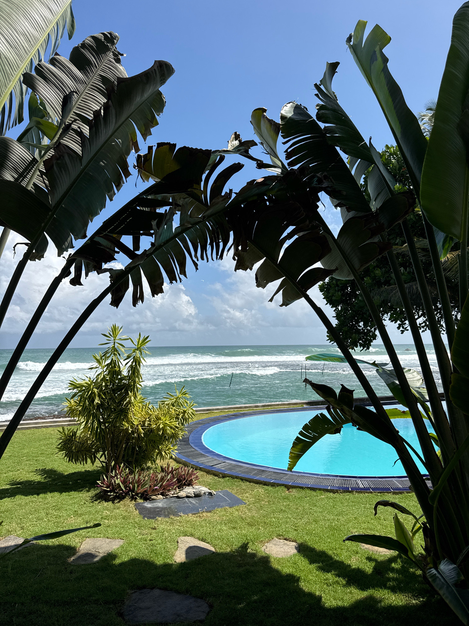 A high-angle, eye-level, full shot captures a tranquil scene in Goviyapana, Sri Lanka, where a vibrant blue swimming pool with a dark blue tiled edge curves into the foreground. Lush green grass surrounds the pool, dotted with stepping stones and a small cluster of plants featuring burgundy and variegated green leaves. Beyond the manicured lawn, the turquoise ocean stretches to the horizon, with gentle white waves lapping against a rocky shore. The sky above is a clear, bright blue, streaked with fluffy white clouds. Large, dark green leaves of tropical plants frame the upper portion of the image, their long fronds casting dappled shadows on the grass. The overall atmosphere is one of serene tropical beauty and relaxation.