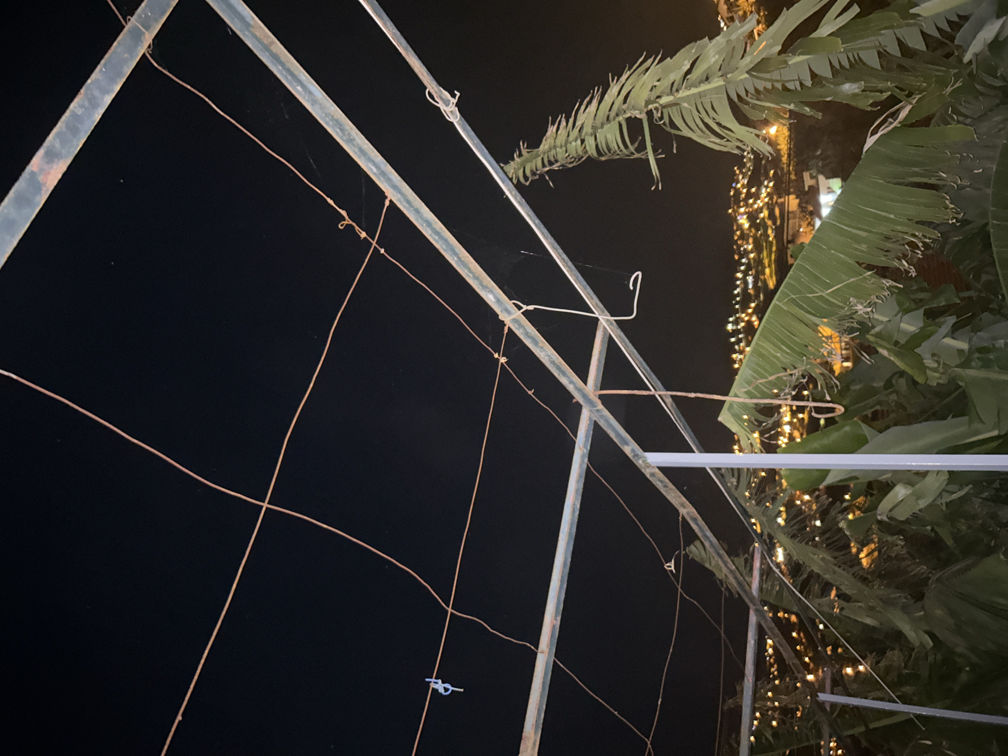 Captured at night in Câmara de Lobos, Portugal, the image features a metallic structure with hanging wires, possibly a trellis or frame. Palm fronds and other foliage intermingle with the structure on the right side. Behind the foliage, lights, possibly streetlights or building lights, indicate a city environment. The left side of the image is largely black, suggesting a night sky or darkness. The scene is still, devoid of visible human activity.