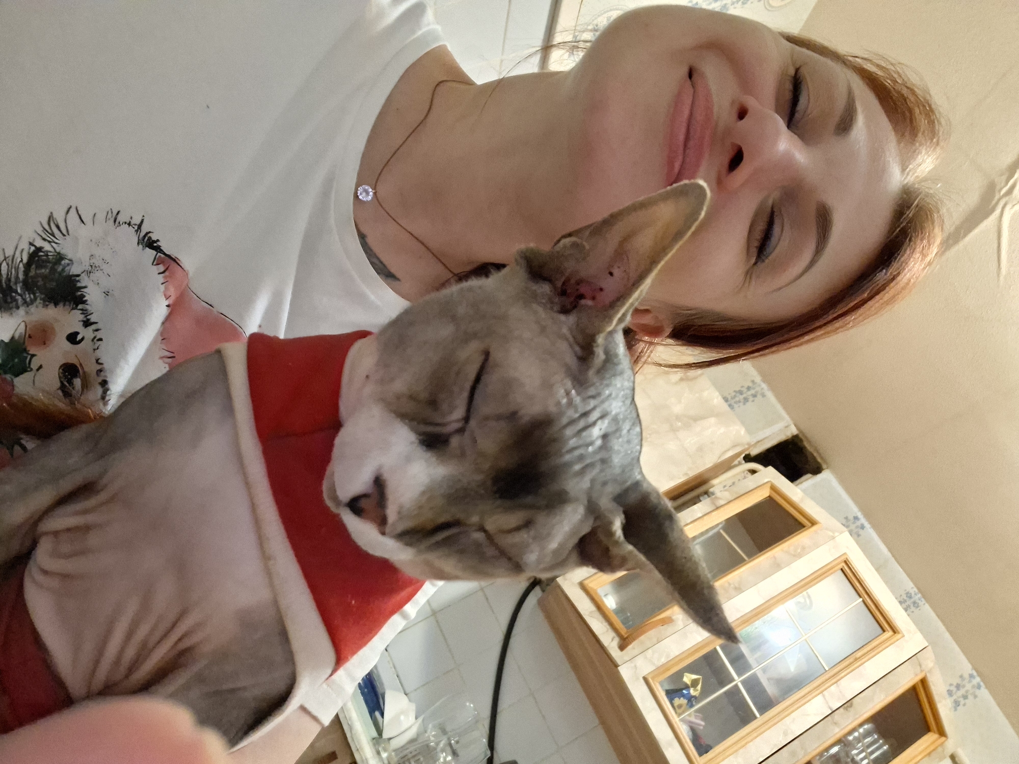 A woman with auburn hair and closed eyes is holding a Sphynx cat. The cat is wearing a red garment and also has its eyes closed. The woman is wearing a white t-shirt with a cartoonish print of a person in a Santa hat. She is also wearing a delicate necklace with a single pendant. The background appears to be a kitchen, with wooden cabinets and a tiled backsplash. The overall lighting is warm and somewhat dim. The location is identified as Забалоцкі сельскі Савет, Belarus.