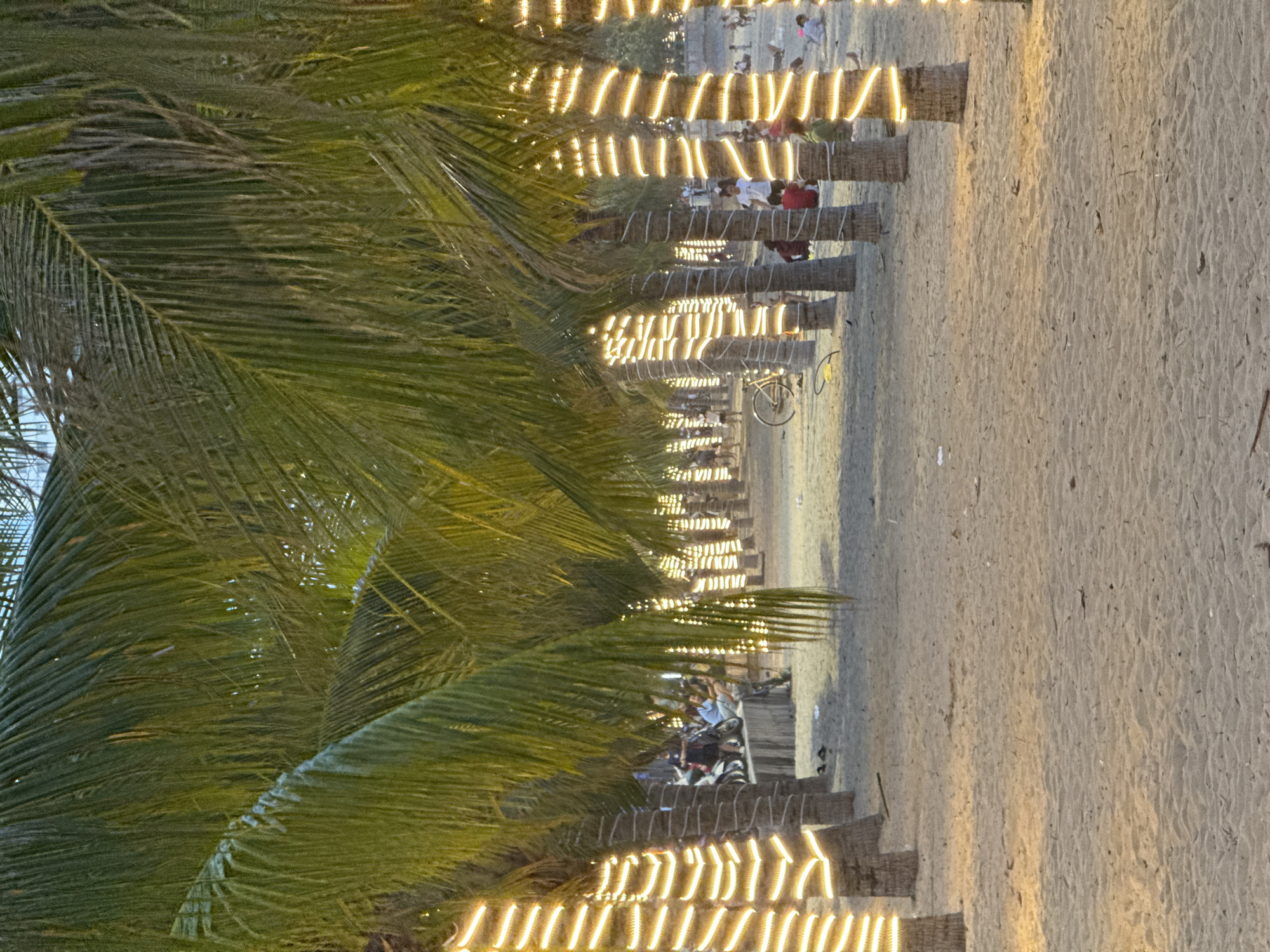 The image depicts a serene beach scene in Nha Trang, Vietnam, likely in the evening or at dusk. A row of palm trees, adorned with warm, white string lights wrapped around their trunks, forms a prominent feature. The beach is sandy, with some scattered debris and footprints. In the background, several people are visible, some sitting on the sand, others standing or walking. There's also a bicycle, and what appears to be a low wall or barrier where some individuals are gathered. The lighting suggests a festive or relaxed atmosphere, possibly indicating a promenade or recreational area along the coastline.