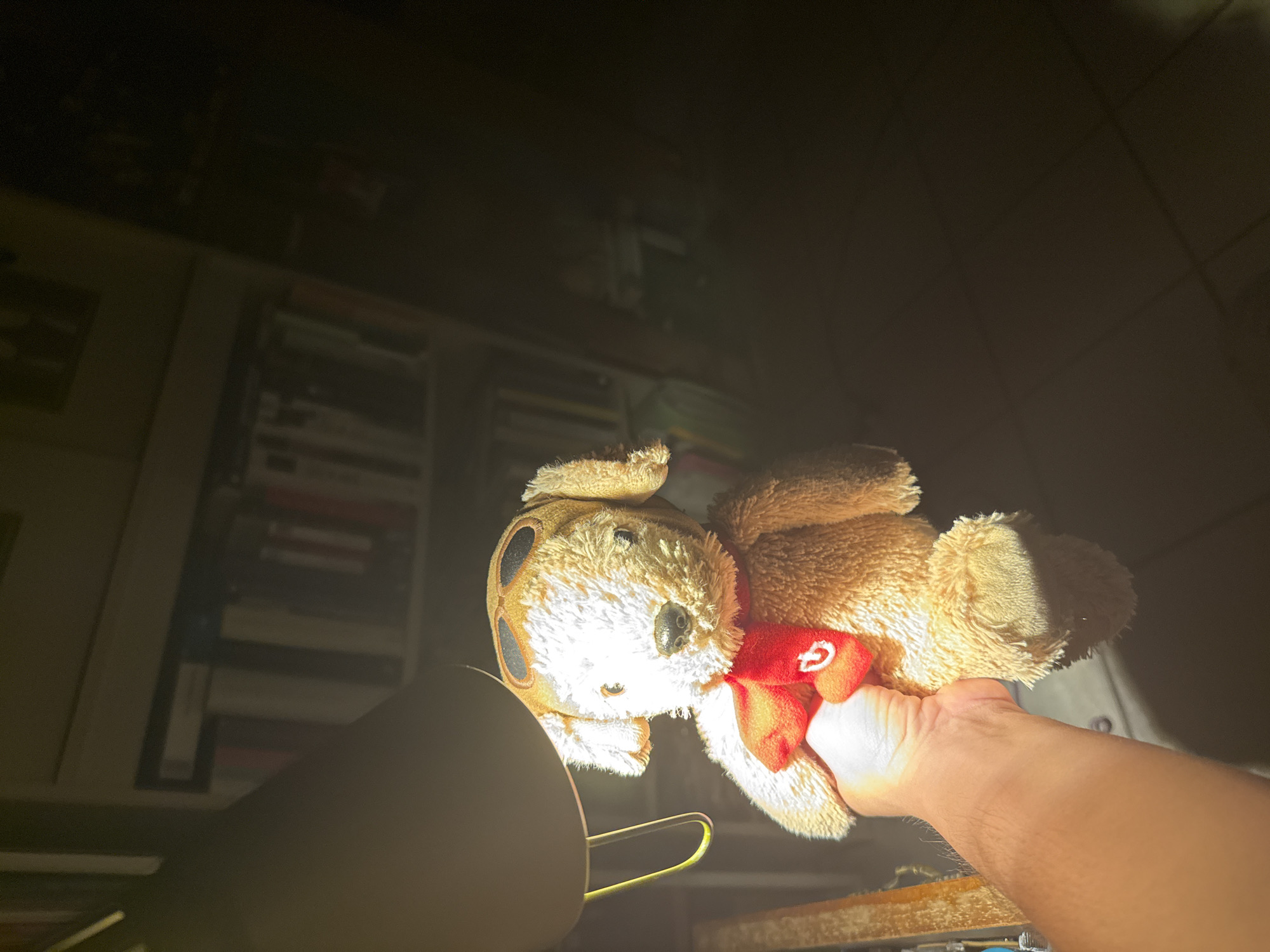 A plush dog toy is held in a person's hand, illuminated by an unseen light source to the left. The toy is brown and white, with a red collar or neckerchief. The person's hand is visible, and the foreground contains a blurred lamp. Behind the toy, there's a bookshelf filled with books. The location, Xochitepec, Mexico, is not independently verifiable from the image.