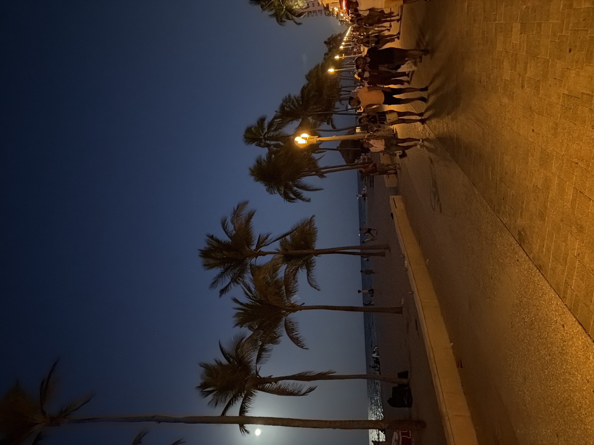 This is a nighttime photograph of the Hollywood Beach Boardwalk in Hollywood, Florida, USA. The scene captures a lively atmosphere with a clear, dark blue sky overhead. On the left, a sandy beach stretches towards the ocean, where gentle waves are visible. Several palm trees are scattered across the beach and along the boardwalk, with their fronds silhouetted against the night sky. Some people are scattered on the beach, seemingly relaxing or walking.
The boardwalk itself, paved with brick-like stones, is illuminated by warm, yellow streetlights mounted on poles. A crowd of people is walking along the boardwalk, appearing to be socializing and enjoying the evening. The individuals are dressed in casual summer attire, suggesting warm weather. Some are walking in groups, while others are walking individually. The overall impression is one of a popular tourist destination at night.