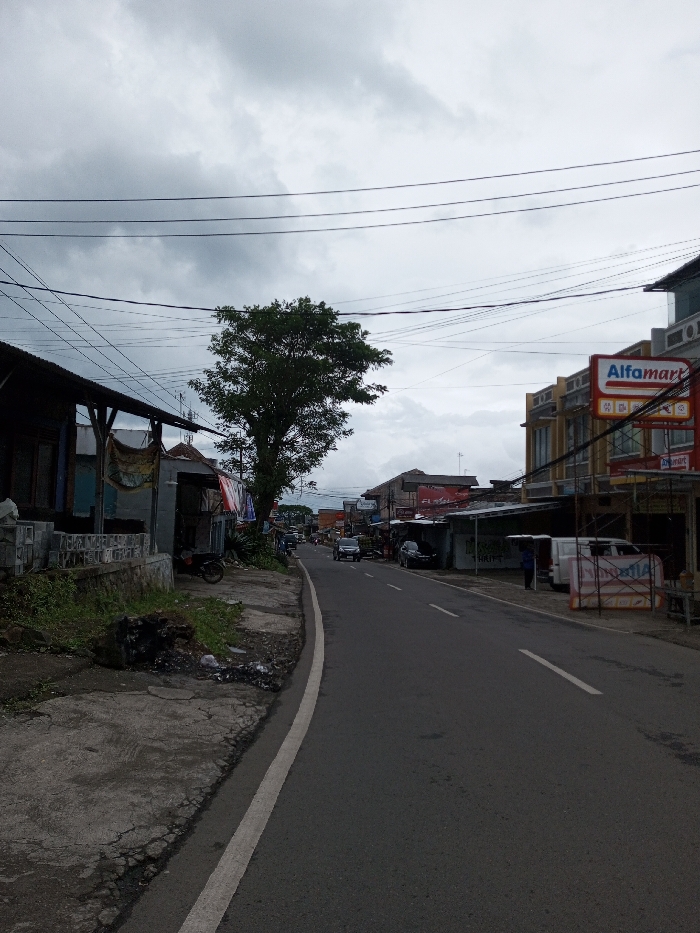 This image captures a street scene in Melakudikadu, India, under an overcast sky. The asphalt road, marked with a solid white line on its left edge and a dashed white center line further down, curves gently to the right as it recedes into the distance. A cracked concrete sidewalk with patches of grass and debris borders the left side of the road. Multiple black power lines crisscross the upper portion of the frame against a uniform gray, cloudy sky.
On the left, a series of low-rise structures with visible wooden supports and corrugated metal roofs line the sidewalk. A dark-colored motorcycle is parked near one of these buildings. A prominent tree with dense green foliage stands midway down the left side, partially obscuring the background.
On the right side of the street, multi-story commercial buildings are visible. A prominent "Alfamart" convenience store sign, red and white, is clearly visible on a building. Below the sign, a temporary structure resembling scaffolding or a frame is erected on the sidewalk. A white van and other dark vehicles are parked along the right side of the road. Several indistinct human figures are visible near the parked vehicles and further down the street on the right. Additional cars and motorcycles are present on the road in the mid-distance, traveling in the direction away from the viewer.