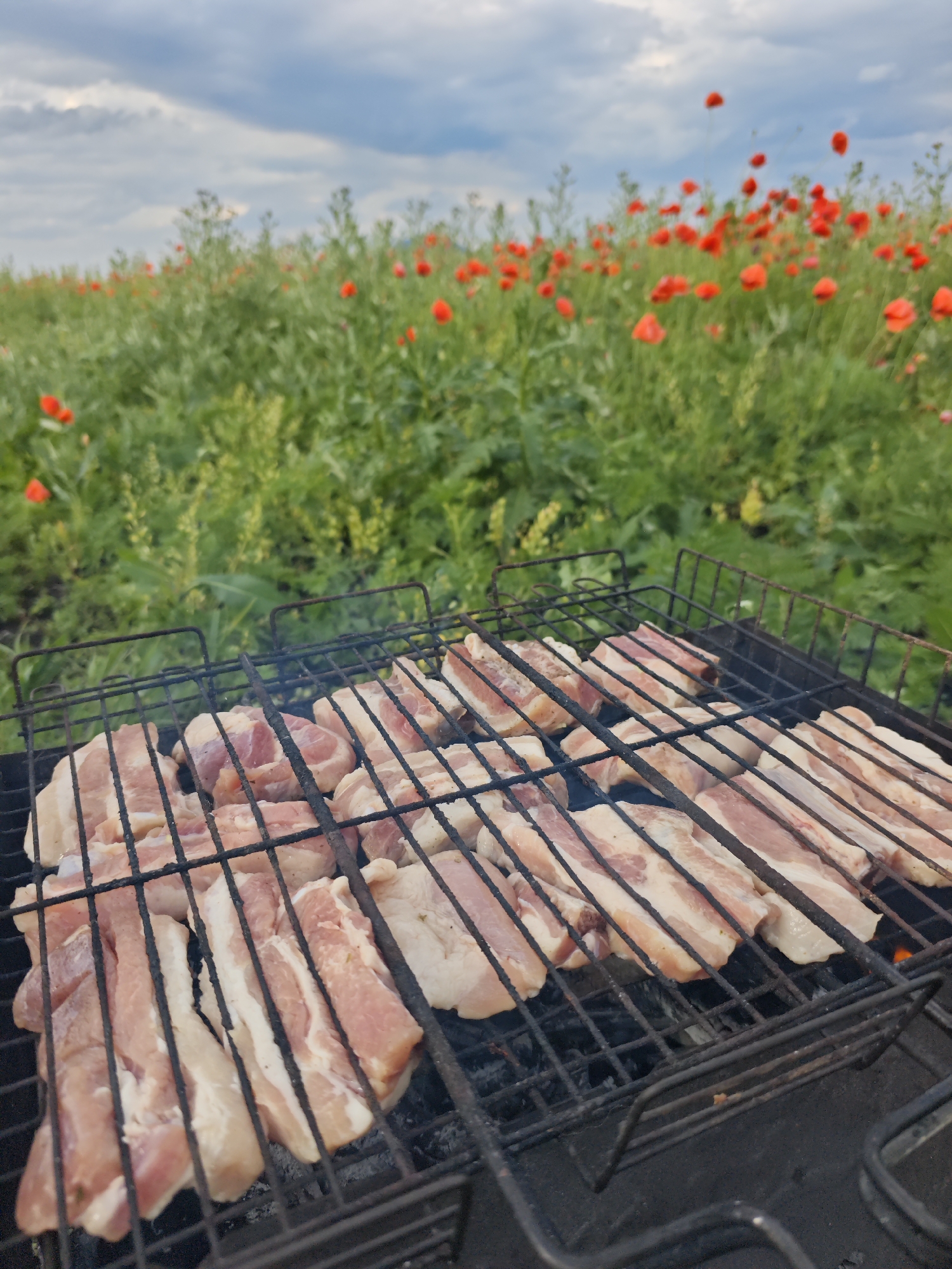 The image shows slices of raw meat, possibly pork belly, arranged on a black metal grill basket. The meat is pink and white, with visible layers of fat. The grill basket is placed over a fire, indicated by wisps of smoke rising from the meat. In the background, a field of green grass is dotted with numerous bright red poppies. Above the field, a cloudy sky is visible. The scene appears to be an outdoor picnic or barbecue. The location is specified as Yutsa, Russia, but there are no specific Yutsa landmarks or identifying features in the image itself to confirm this.
