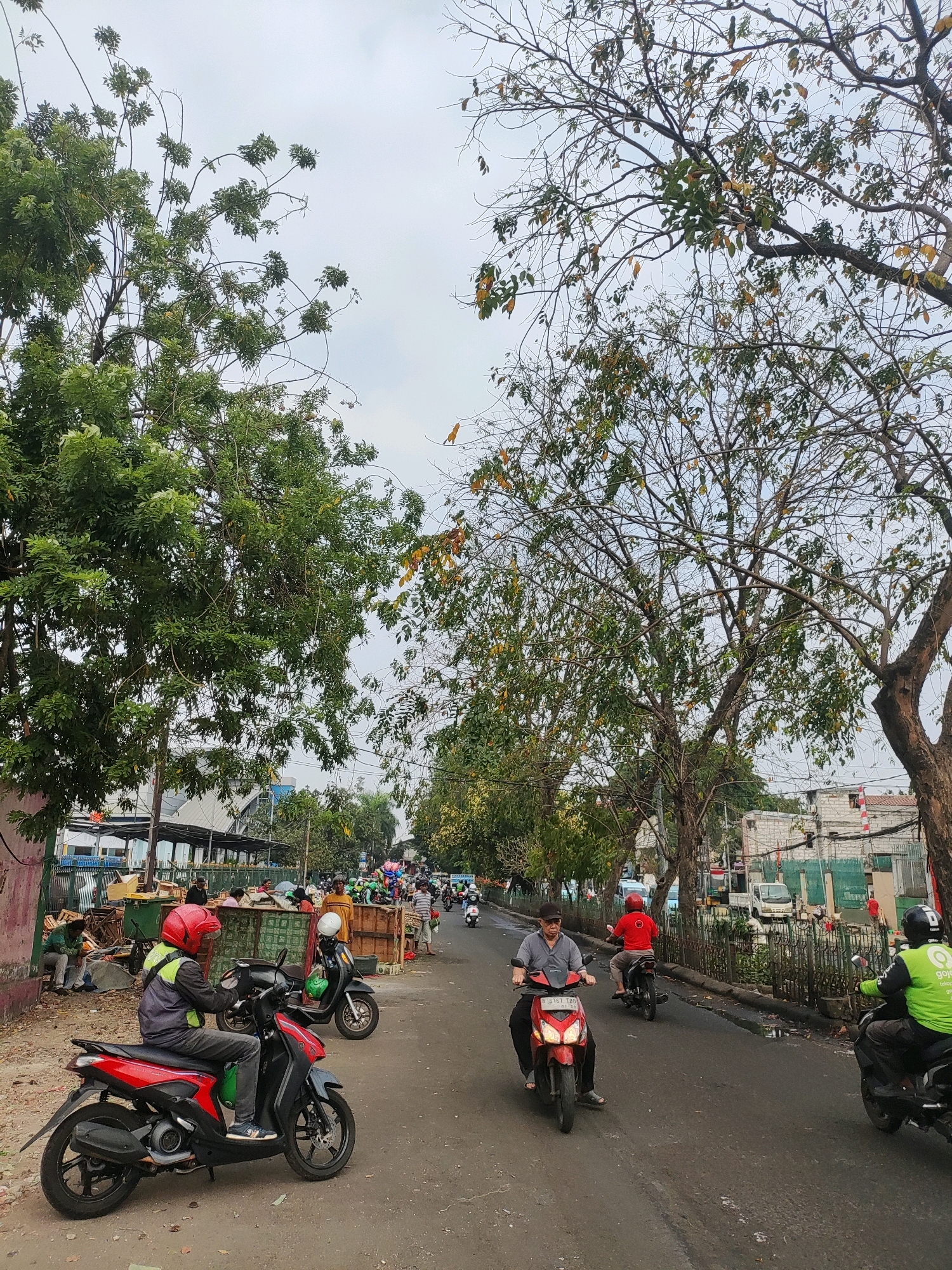 This is an outdoor, ground-level, eye-level shot of a street scene in East Jakarta, Indonesia. The image captures a moderately busy street lined with trees and some roadside stalls. The weather appears overcast.
In the foreground, a person wearing a red helmet and a grey and yellow jacket is seated on a red and black scooter. Their left hand is on the handlebar. To their right and slightly behind, another scooter is parked. Further down the road, several other individuals are on motorcycles, with one person in a bright green jacket also on a scooter, and another person in a red shirt on a motorcycle. A person in a grey shirt and a cap is riding a red scooter towards the viewer. There are also several parked motorcycles and scooters.
To the left of the road, there are what appear to be market stalls or temporary structures with various items displayed, and some people are gathered around them. Further back, buildings are visible, including what looks like a long, covered structure with a white roof, and other multi-story buildings. The street itself is paved and appears somewhat worn. The trees lining the street are a mix of lush green and some with sparse foliage, indicating different species or stages of growth. The background shows more trees and buildings under a cloudy sky.