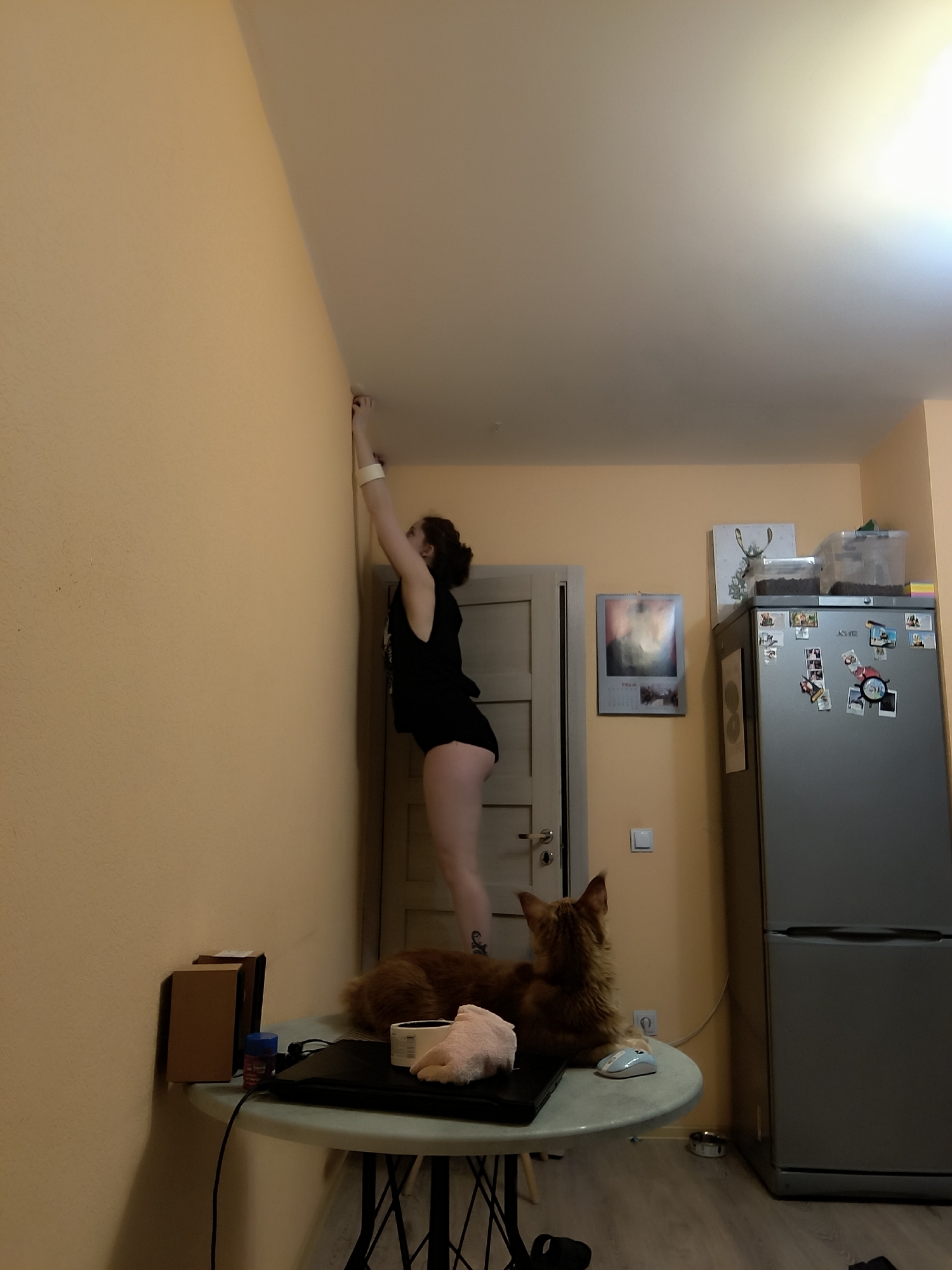 An interior view of a residential room features a female subject, clad in a black sleeveless top and black shorts, standing atop a round table. She is reaching upwards with her right arm towards the corner where the light orange wall meets the white ceiling. A white wristband is present on her right wrist, and a tattoo is visible on her left calf.
A large, long-haired ginger cat rests on the table, positioned to the right of a closed black laptop and facing away from the subject. A pale blue computer mouse, a blue cylindrical container, and two cardboard boxes are also on the table.
To the right, a silver two-door refrigerator stands, surmounted by two clear plastic containers holding dark contents and a framed artwork depicting a deer silhouette. The refrigerator's upper door is covered with various magnets, notes, and photographs. A light-colored panel door with a silver handle is visible behind the subject. A calendar displaying a landscape image is affixed to the wall left of the refrigerator, above a white light switch and an electrical outlet. The floor is light-toned laminate flooring. A metallic pet bowl is situated on the floor adjacent to the refrigerator.
The specific location within the city of Saint Petersburg, Russia, cannot be ascertained from the visual data present in this image.