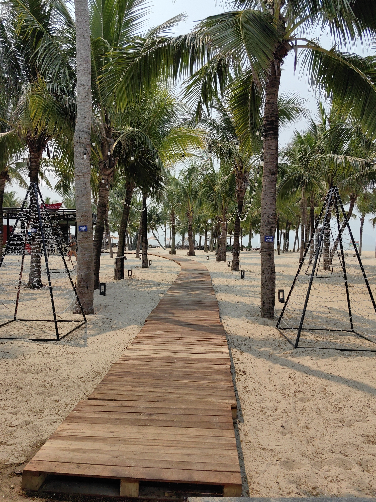 A boardwalk leads through a beach in Bai Chay Ward, Vietnam. Tall palm trees line both sides of the boardwalk, some wrapped with strings of small, round lights. Black metal triangular structures are positioned among the trees. The ground is covered in light-colored sand. A blue sign with white numbers is attached to one of the trees. In the background, the sea is visible. A person is walking in the background near a structure with red and white signage.