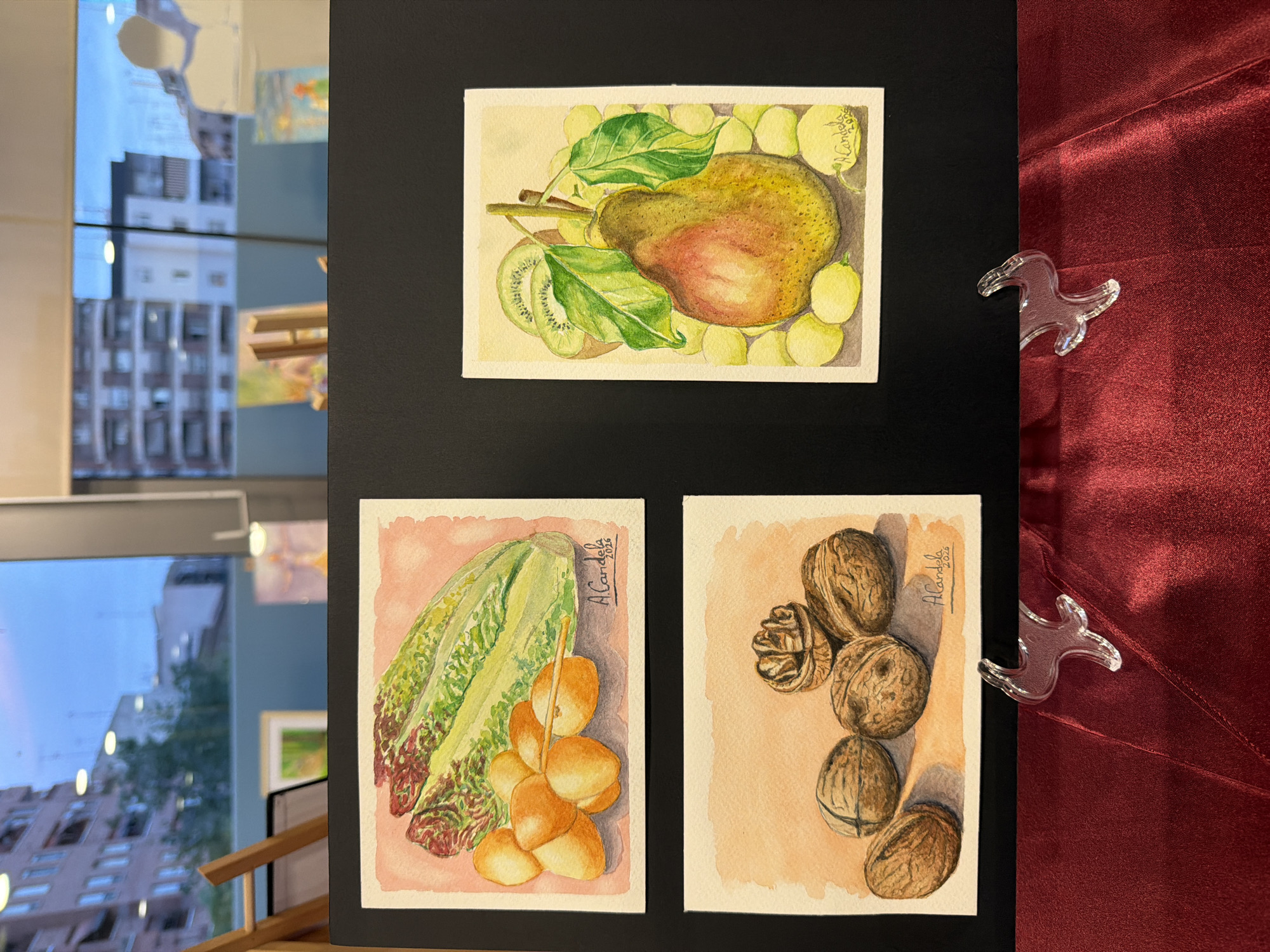 The image shows a display of three watercolor paintings of fruit and vegetables arranged on a black board. The paintings are signed "A. Candela" and dated "2026". The top left painting depicts a head of romaine lettuce and several orange fruits, possibly dates or small apricots. The bottom left painting shows a cluster of walnuts, with one cracked open. The painting on the right features a pear surrounded by small yellow fruits, with slices of kiwi fruit in the background. The black board is placed on a dark red fabric, likely a tablecloth, and is supported by two transparent plastic stands. In the background, through a large window, buildings and the sky are visible, suggesting the display is located indoors, possibly in a gallery or shop. The presence of buildings and the sky in the background, combined with the distinct architecture seen through the window, is consistent with an urban setting. Given the information provided in the prompt, this scene is located in the city of Elche/elx, Spain.