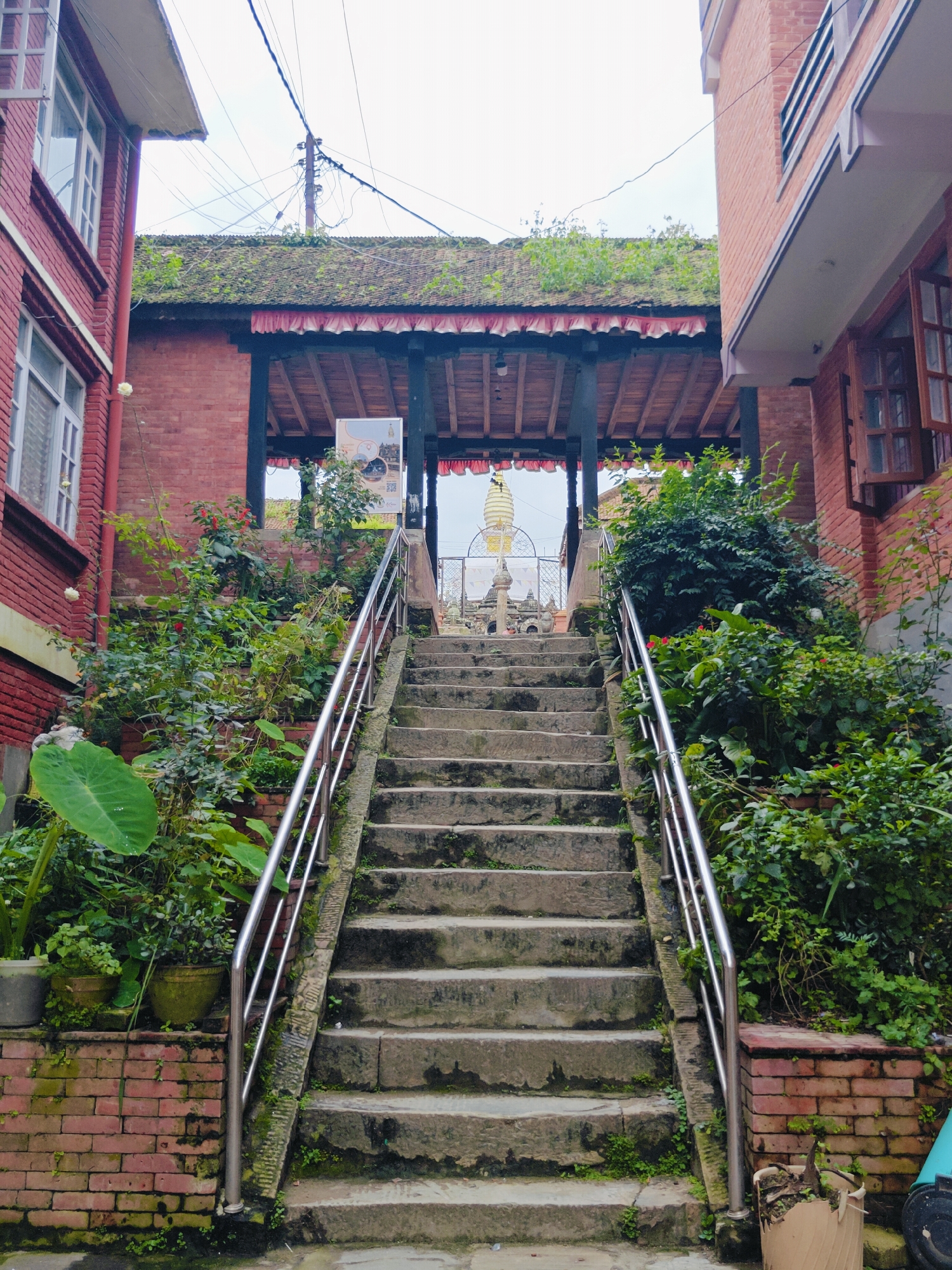 The image depicts a view of a stairway in Kirtipur, Nepal, leading towards a temple structure. The stairway is made of stone and flanked by metal railings on both sides. Lush green foliage and plants are abundant on either side of the stairs, growing from planters and along the brick walls. On the left, a red brick building with white-framed windows is visible. On the right, another red brick building with wooden-framed windows is present. At the top of the stairs, an entranceway is visible with a wooden roof structure adorned with red fabric trim. Beyond the entranceway, a white stupa with a golden spire is visible, indicating a religious site. The sky is overcast.
