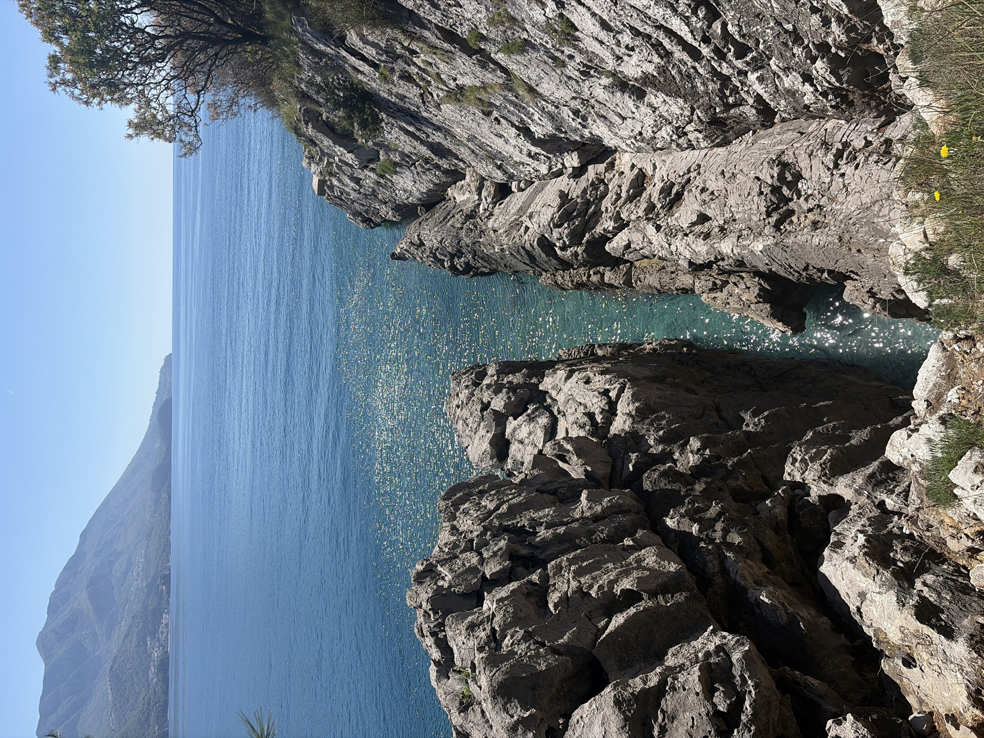 The image shows a rocky coastline in Budva, Montenegro. The Adriatic Sea is visible, with sunlight reflecting on the water's surface. Rocky cliffs frame the view, with some vegetation growing on them. A distant mountain is visible along the horizon. The image is taken from an elevated position, looking down at the sea and coastline.