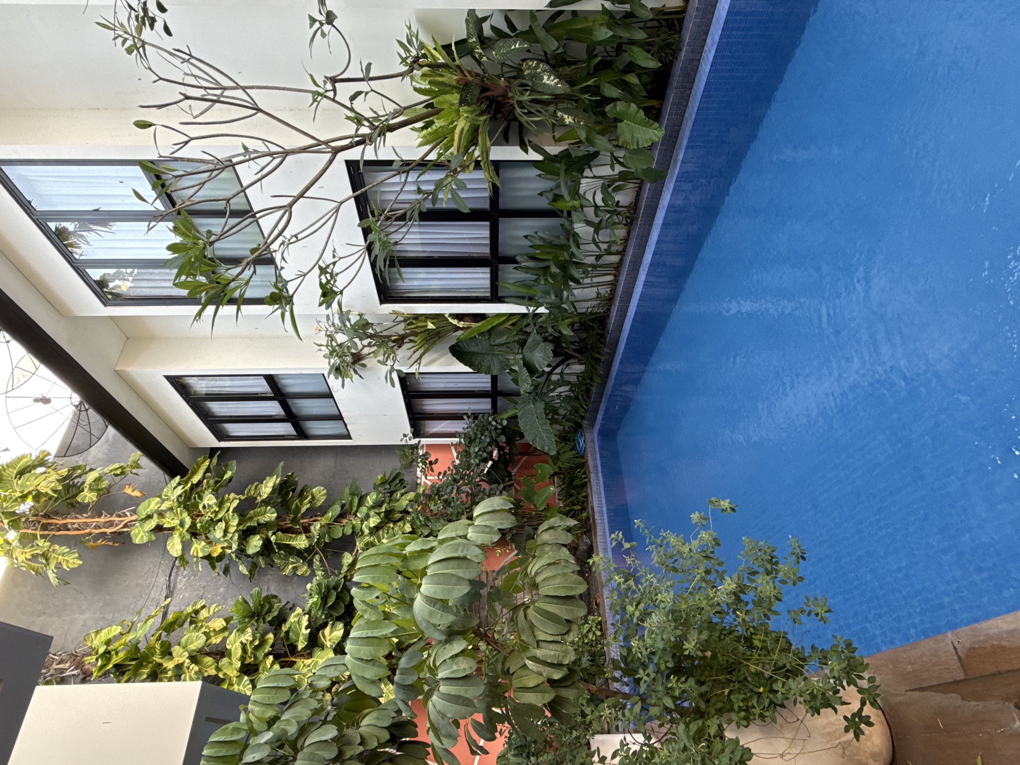 The image depicts a courtyard in North Kuta, Indonesia. A multi-story building with windows overlooks a blue-tiled swimming pool. Lush greenery, including trees and various plants, surrounds the pool and is interspersed between the building's windows. The building is light-colored with dark window frames. The courtyard appears to be a blend of manicured and natural vegetation. No people are visible in the image.