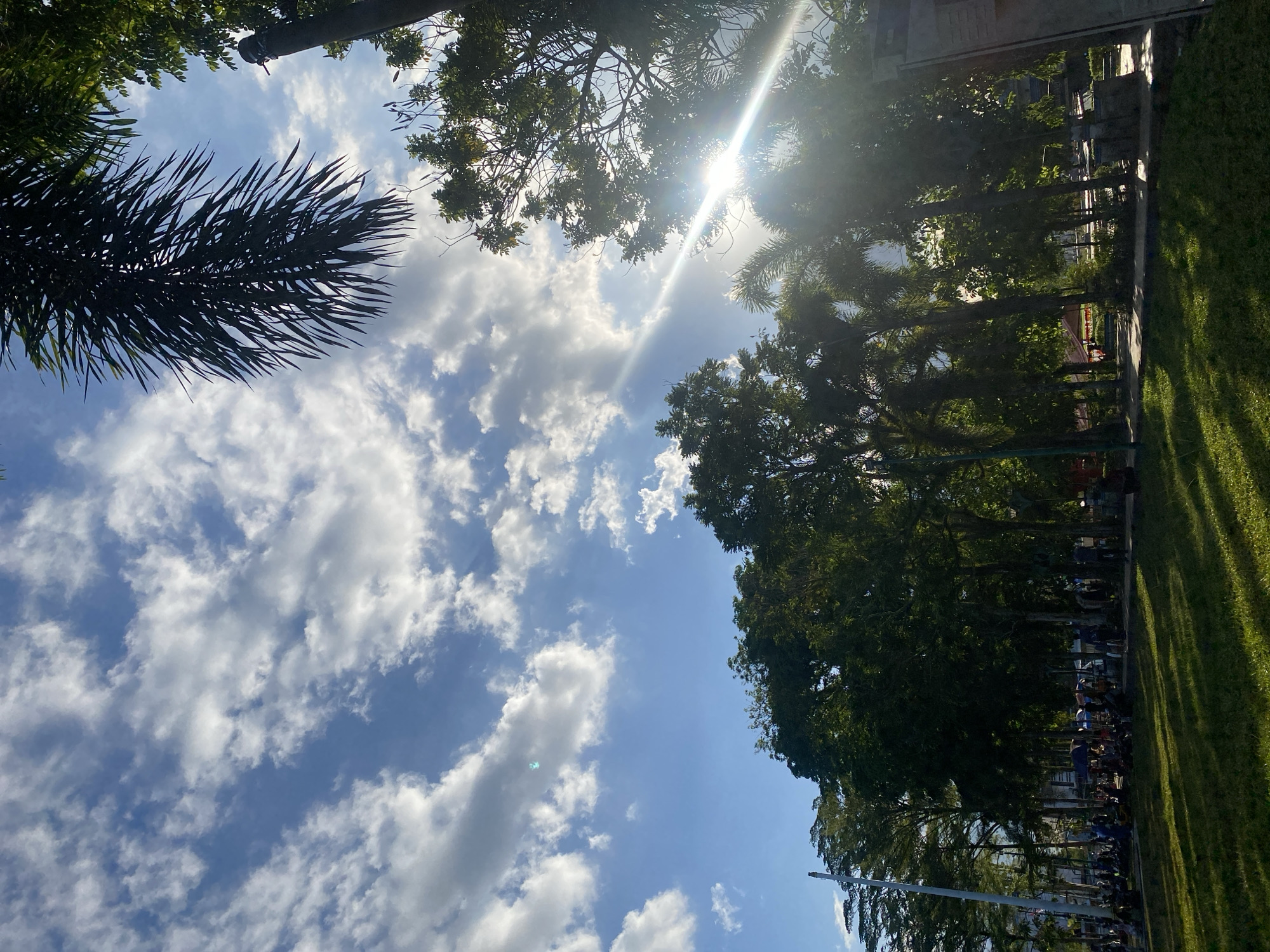 The image captures a view of a park in Martapura, Indonesia, on a bright, sunny day with scattered clouds. The foreground is dominated by a grassy lawn bathed in dappled sunlight, with long shadows cast by trees. A line of various trees, including palm trees and leafy deciduous trees, forms a backdrop. In the mid-ground, a paved walkway runs through the park, lined with more trees and some low-lying structures. A crowd of people are visible in the distance, some sitting on the grass and others standing near what appear to be market stalls or small shops. The sky above is a vibrant blue, with fluffy white clouds and a bright sun creating lens flare and streaks of light, particularly visible through the foliage on the right side of the image. A large palm frond hangs prominently in the upper right corner, silhouetted against the sky. The overall impression is a lively outdoor gathering in a tropical park setting.