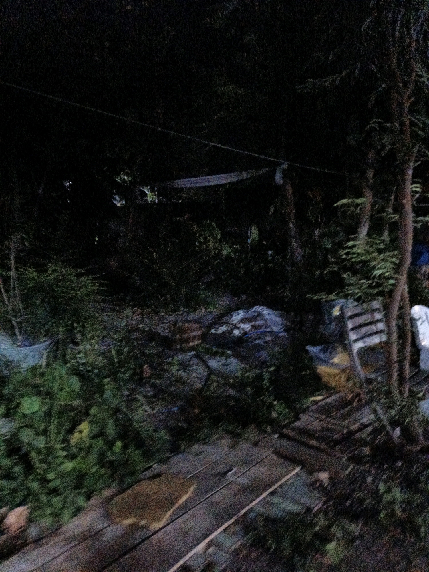 The image depicts a dimly lit outdoor scene, possibly a backyard or a secluded area. A wooden walkway or platform is visible in the foreground, extending from the bottom left towards the middle right of the frame. To the left of the walkway, dense green foliage is present, with some leaves appearing yellow or brown, suggesting a natural or overgrown setting.
In the background, trees and various objects are scattered. A light-colored tarp or fabric is stretched between two points, possibly for shade or as part of a temporary structure. Among the vegetation and trees, there are some indistinct shapes that could be containers, debris, or furniture. The overall atmosphere is dark and somewhat mysterious, with low light conditions obscuring fine details. There are no discernible people or active interactions in the scene.
Given the information that the location is in the city of Cikal, Indonesia, this scene could represent a residential backyard, a garden area, or a more undeveloped plot of land within that urban or peri-urban environment. The presence of the walkway and the dense vegetation could indicate a residential setting with a garden, or perhaps a semi-rural or transitional area within the city.