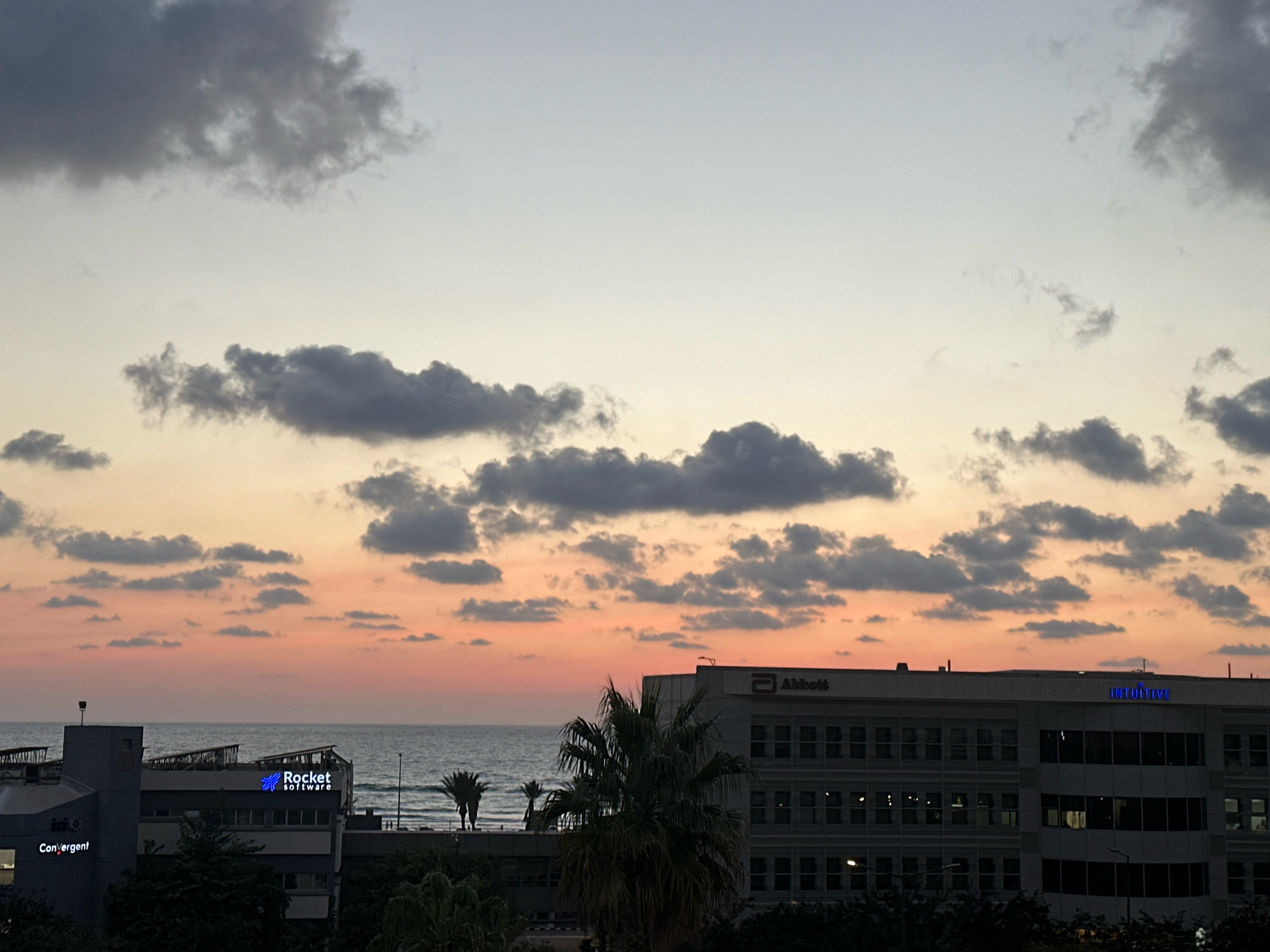 This is a medium shot, outdoor, horizontal, color photograph taken at sunset. The scene depicts a coastal cityscape with a body of water in the background. The sky is filled with a mix of dark and light gray clouds, with a gradient of orange and pink hues from the setting sun near the horizon. The sea is a calm, dark blue. In the foreground, there are several buildings. The building on the right is a multi-story office building with many windows. It has the "Abbott" logo on its facade. To the left of this building is another office building with the "Rocket software" logo and the "Convergent" logo visible. Palm trees are scattered throughout the foreground, obscuring some of the lower parts of the buildings and the ground. The overall impression is a twilight view of a developed coastal area. The location is identified as Haifa, Israel.