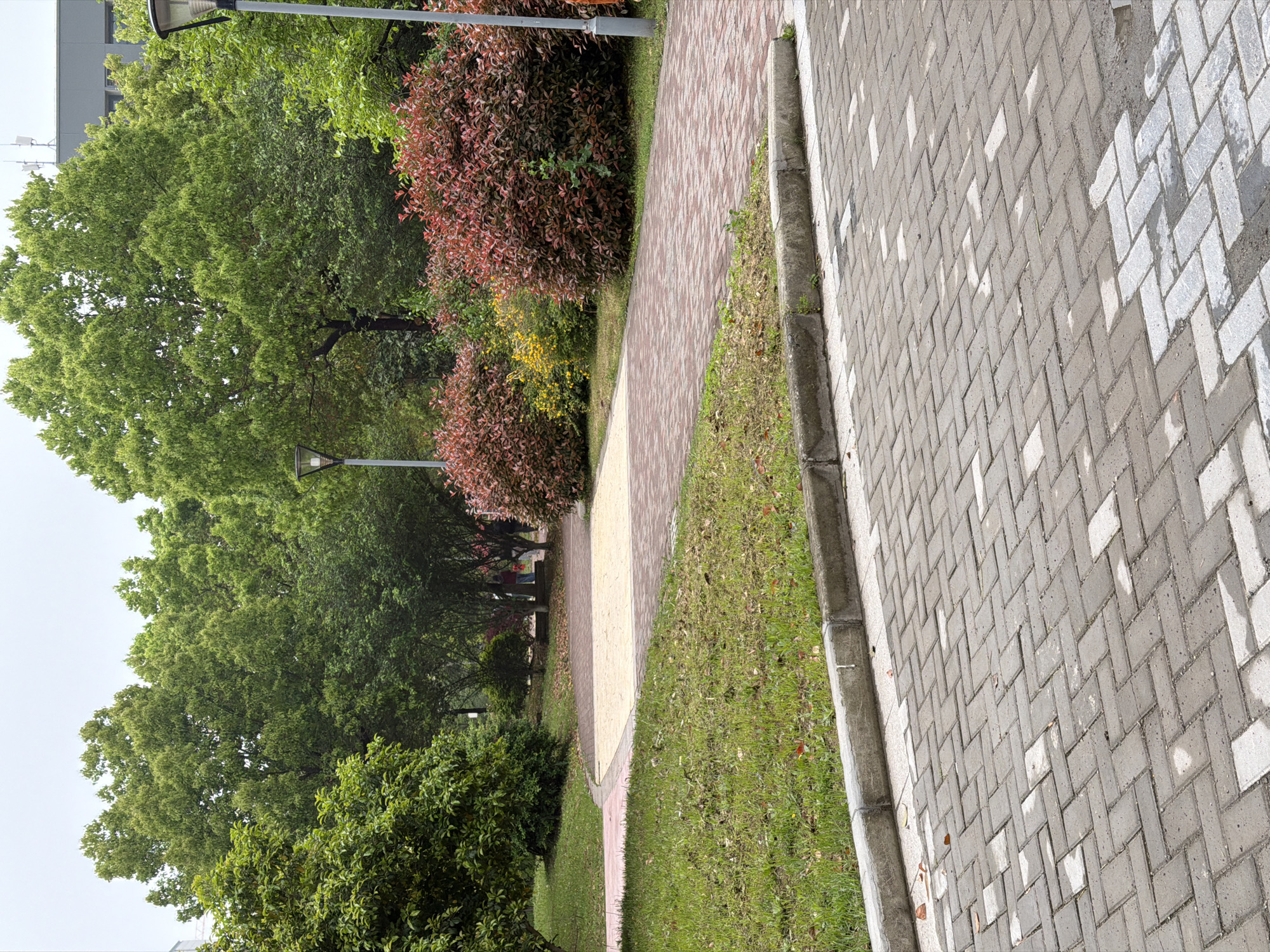 The image depicts a park scene in Jiangning District, China. Two paved pathways run parallel. The right-hand pathway is constructed of grey and white rectangular pavers arranged in a herringbone pattern. The left-hand pathway is narrower, constructed of red, brown and yellow pavers. Between the paths is a strip of green grass. To the left of the pathways is dense foliage including deciduous trees and shrubs, some displaying red foliage. Lampposts are visible among the trees. Buildings are visible in the background. The sky is overcast. The image appears to be taken at ground level.