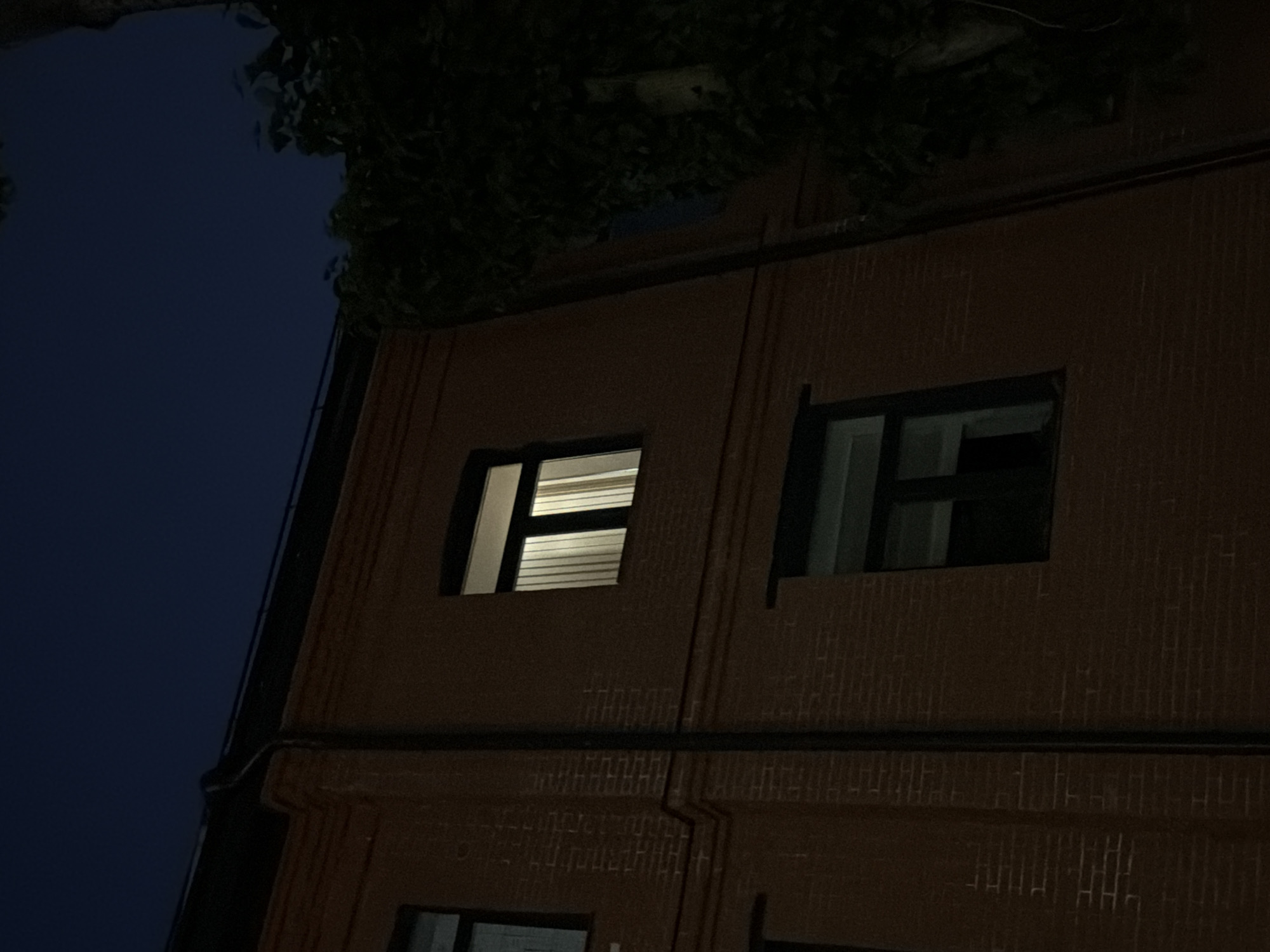This is a low-light exterior shot of a multi-story brick building at night. The brickwork is a reddish-brown color. The building has several windows, some of which are illuminated from within. One window in the upper right quadrant of the image shows vertical blinds. Another window, lower down and slightly to the left, appears dark with its frame visible. A downspout runs vertically along the brick facade. To the right of the building, dark foliage from a tree encroaches into the frame, with some leaves obscuring parts of the wall and the sky. The sky above is a deep, dark blue, indicating nighttime. There are no visible people or vehicles in the image. The scene appears to be a residential or commercial building in an urban setting. The image lacks sufficient detail to definitively place it in Moscow, Russia.