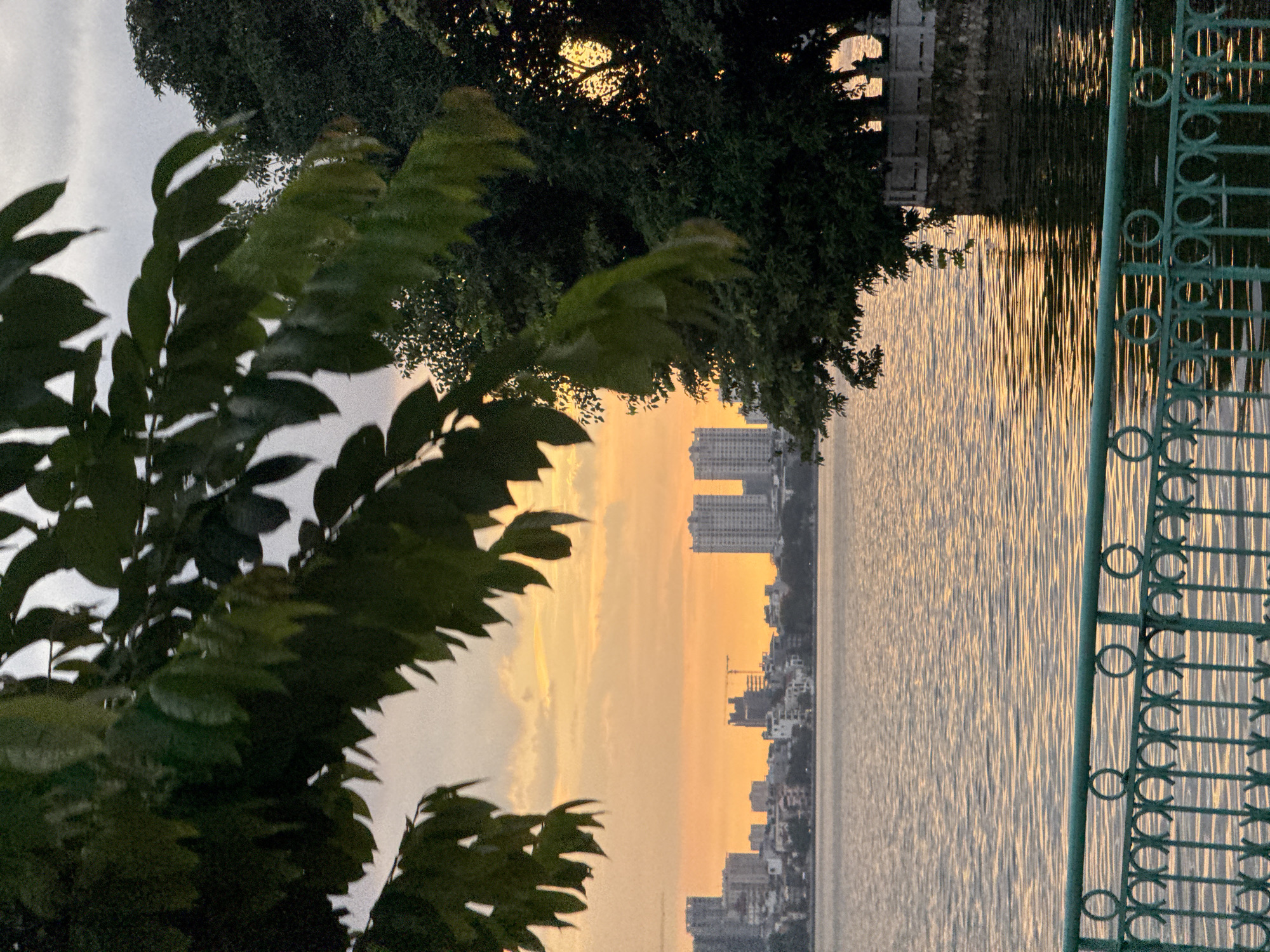 The image depicts a serene waterscape at sunset, likely in Hanoi, Vietnam. In the foreground, a dark green metal fence with ornate circular and crisscross patterns runs horizontally across the bottom of the frame. Beyond the fence, a large body of water reflects the warm hues of the setting sun, creating shimmering golden patterns on its surface.
In the middle ground, a cityscape is visible along the opposite shore of the water. Tall, modern buildings, mostly white and gray, punctuate the horizon. Some of these buildings appear to be residential or commercial towers. A construction crane is visible near one of the central buildings, suggesting ongoing development.
The background is dominated by a warm, orange-pink sky filled with soft clouds, indicative of a sunset or sunrise. The sky transitions to a lighter gray towards the top of the image.
Several large, dark green trees with dense foliage are prominent. Some branches and leaves from trees in the immediate foreground hang over the scene, partially obscuring the view of the sky and the cityscape. The foliage of the trees on the right side of the frame is particularly dense, creating a shadowed area. Sunlight filters through the leaves of these trees, creating a dappled effect and highlighting the warmer tones of the sky.
On the far right, a small stone embankment with a stone railing and what appears to be a small statue or ornamental structure is partially visible, emerging from the water.
The overall atmosphere is peaceful and tranquil, with the natural beauty of the sunset juxtaposed against the urban landscape. This scene is characteristic of areas around Hoan Kiem Lake in Hanoi, where similar waterfront views with city skylines and lush trees are common.