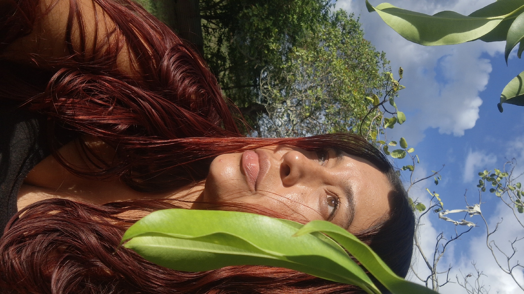 A close-up, outdoor portrait features a woman with long, flowing, reddish-brown hair. The image is oriented such that her head is on the left, and she appears to be reclining and looking upwards towards the sky. Her face is partially visible, showing a clear, glowing complexion, full, glossy lips, and dark eyes that gaze slightly upwards. Her reddish-brown hair spreads around her, catching the sunlight, highlighting its texture and varied shades.
In the foreground, a prominent, vibrant green leaf partially covers the lower right side of her face and hair. The background consists of a natural environment with verdant tree foliage and scattered bare branches. Above, a clear blue sky with fluffy white clouds is visible, indicating bright, sunny weather, likely during the day. The natural lighting illuminates her features and hair, creating a radiant effect.
The scene conveys a sense of calm and connection with nature, consistent with an outdoor setting in Vallecito, Venezuela. No text is visible in the image.