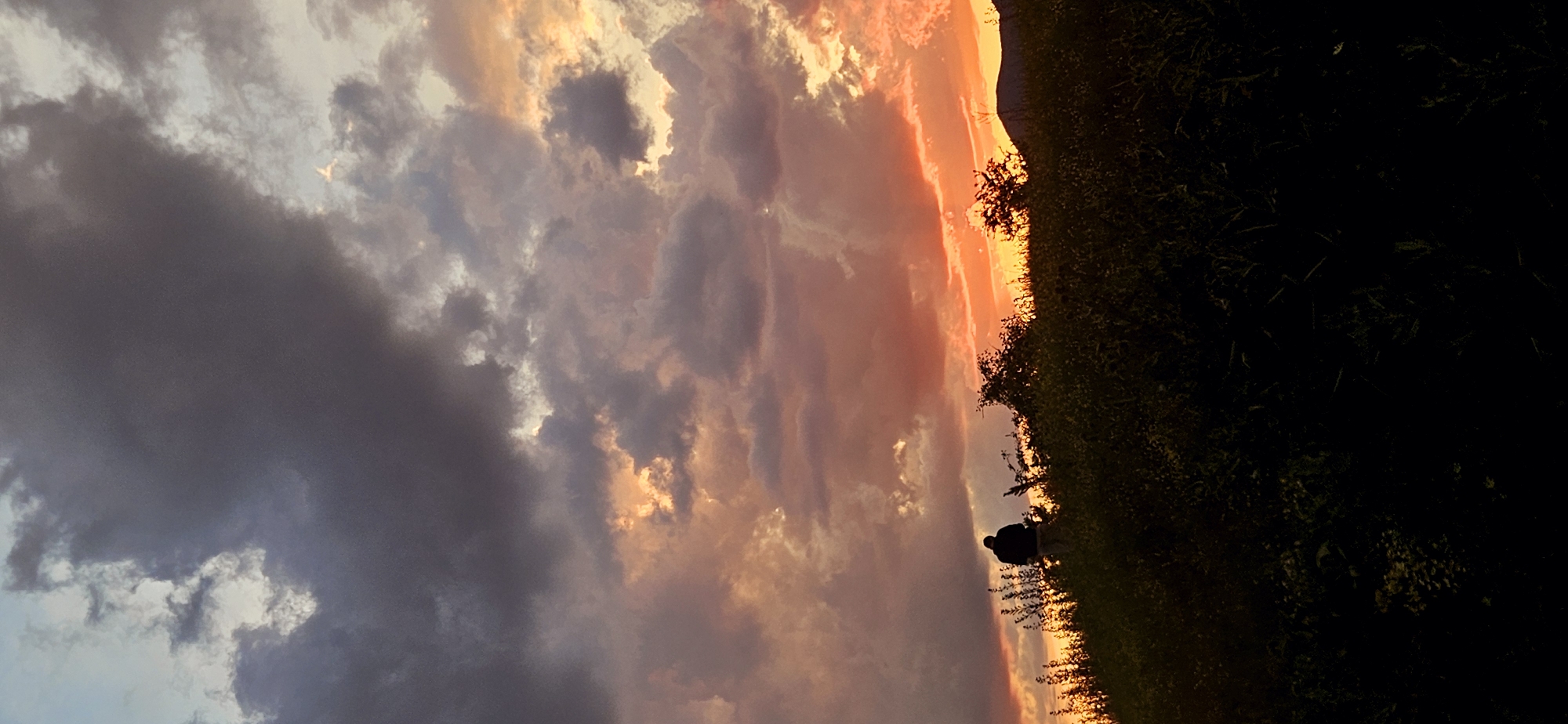 A silhouette of a person and a dog sits on a grassy hillside overlooking a landscape during sunset. The sky is filled with dramatic clouds, displaying a gradient of colors from deep grays on the left to vibrant oranges and pinks on the right, illuminated by the setting sun. The setting is rural, with dense vegetation covering the hillside and a faint outline of distant hills or mountains visible on the horizon. The overall mood is peaceful and contemplative, capturing a serene moment at the end of the day. The time of day is clearly sunset, characterized by the warm, low-angle light and the colorful sky. No visible text is present in the image.